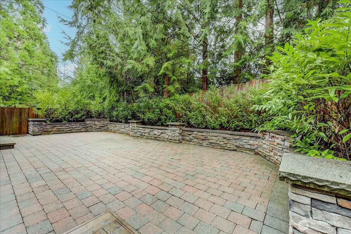 Massive backyard patio!  P