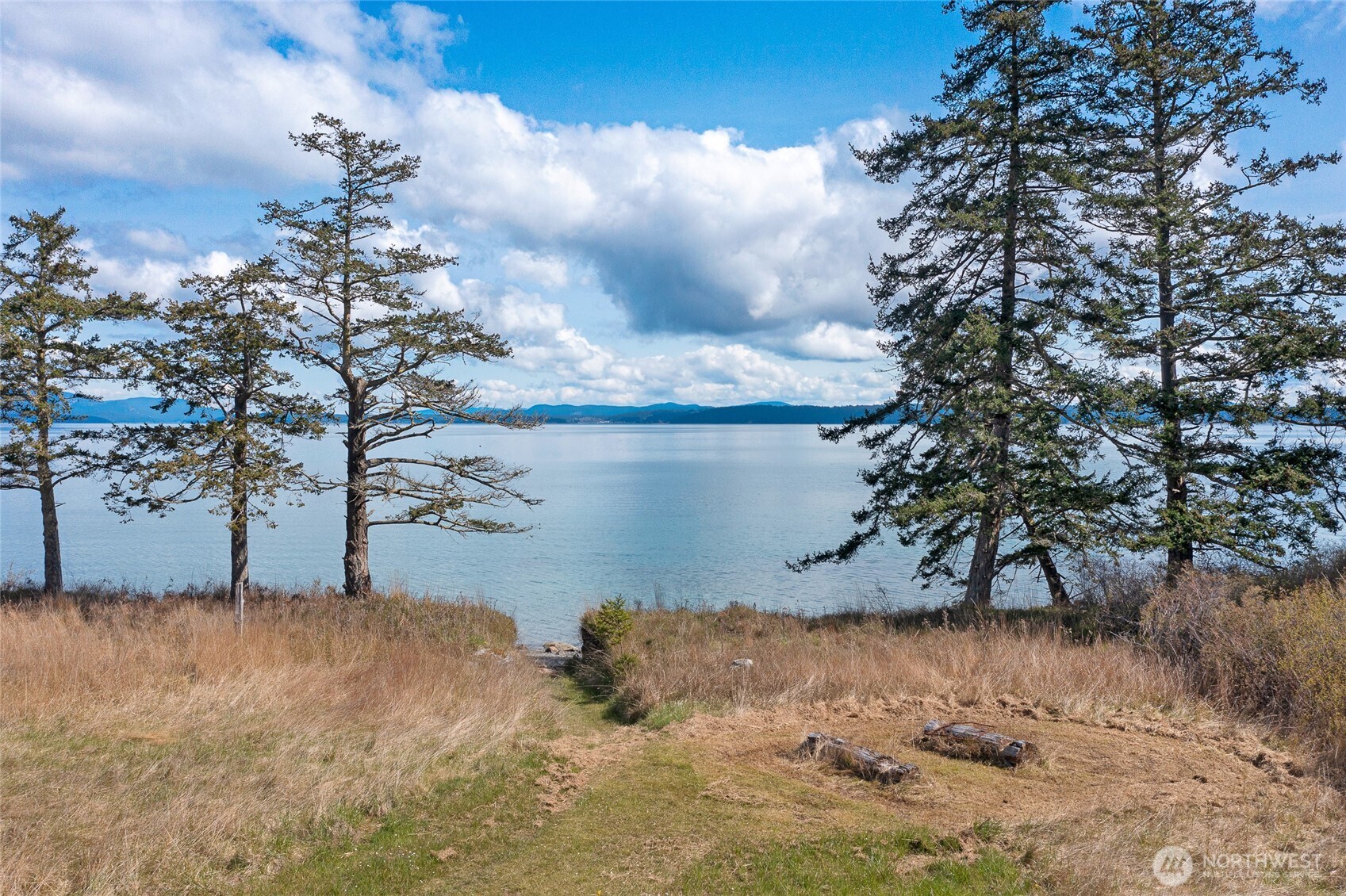 Sweeping water views framed by mature evergreens, capturing the serene natural beauty and year-round vistas this San Juan Island waterfront estate provides.