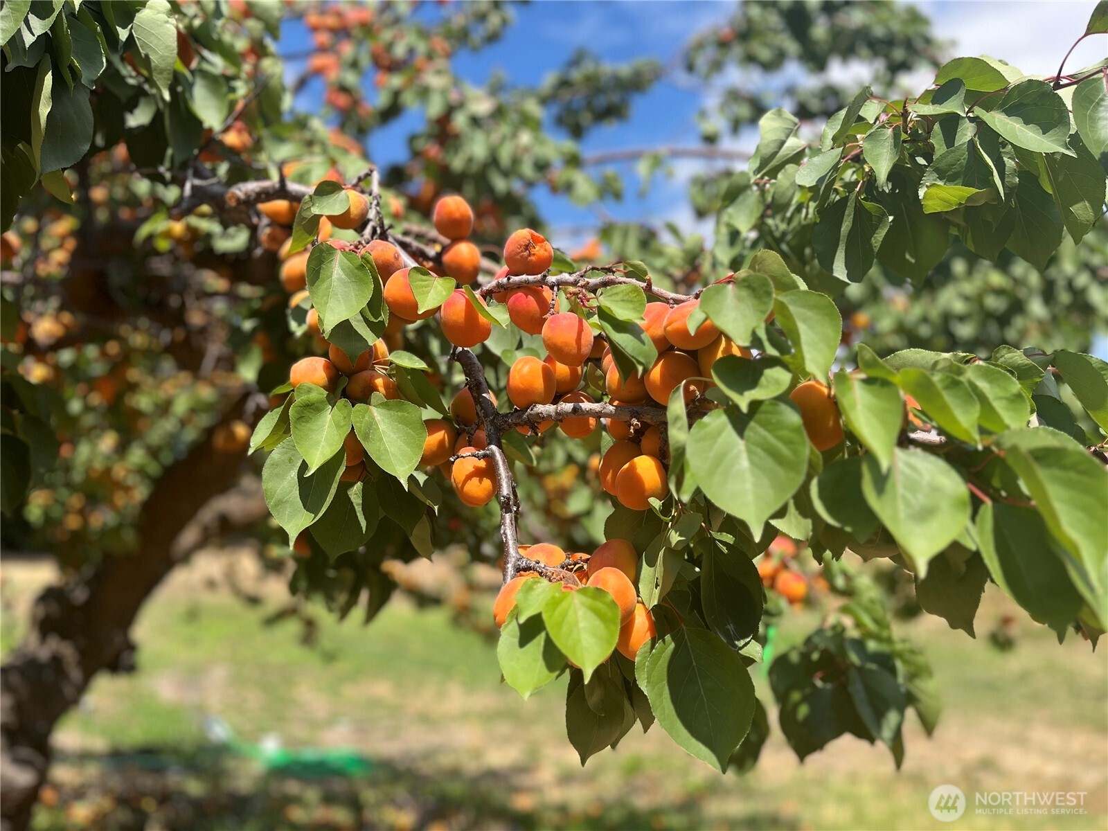 Office on Main Floor