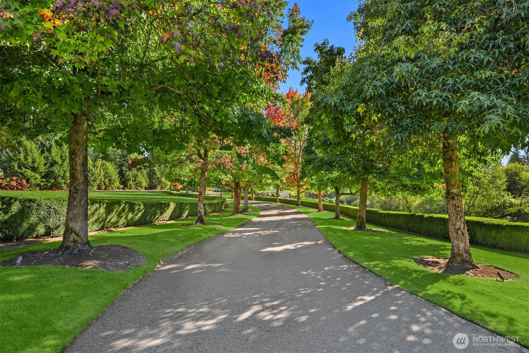 A long, tree-lined driveway winds through five manicured, illuminated acres.