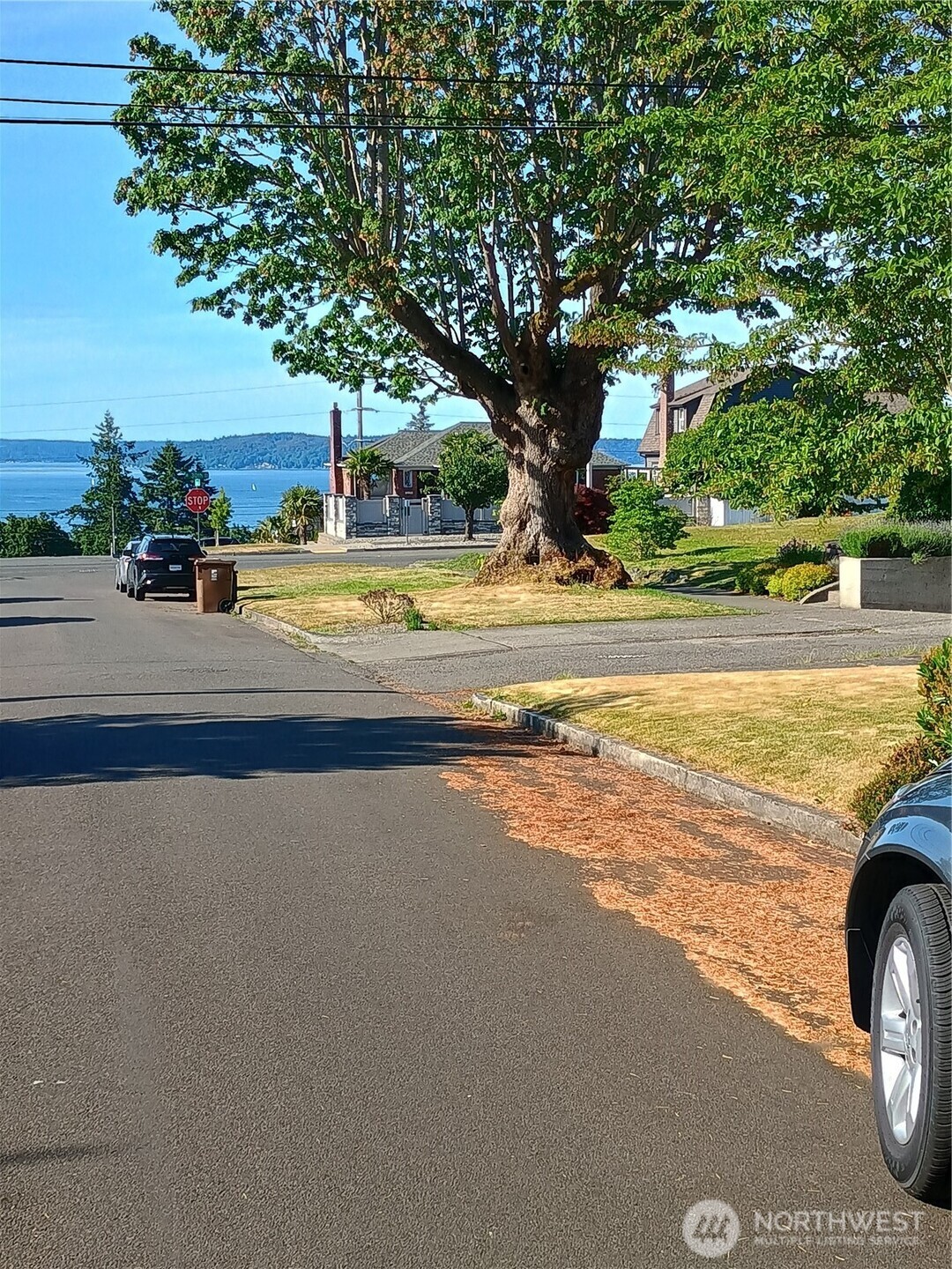 Street View looking to North