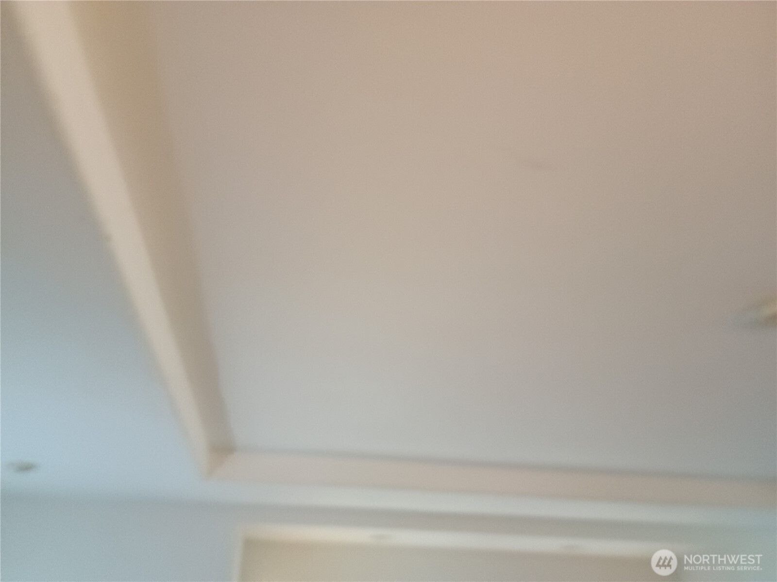 Tray ceiling LR also in DR