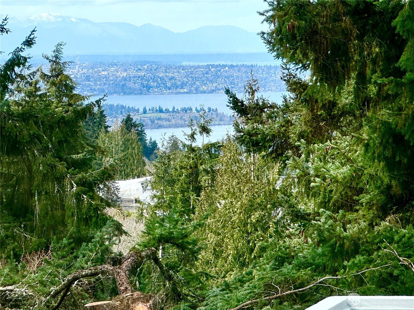 Huge Deck with BBQ Area