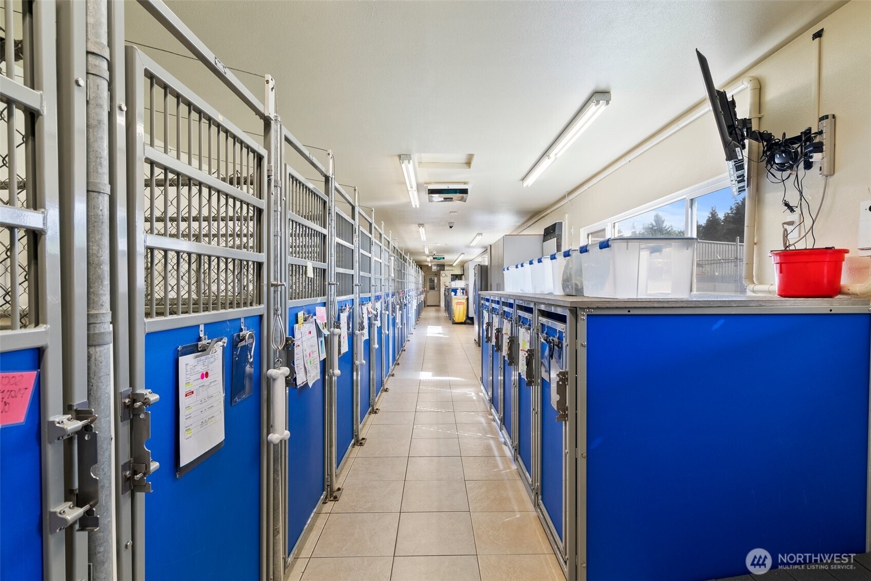 This is showcasing just one view of the impressive kennels. Featuring industrial-grade BiteGuard kennels, tile floors, designed for durability and safety, this facility ensures the highest standard of care for your pets. The list of amenities here is truly endless.