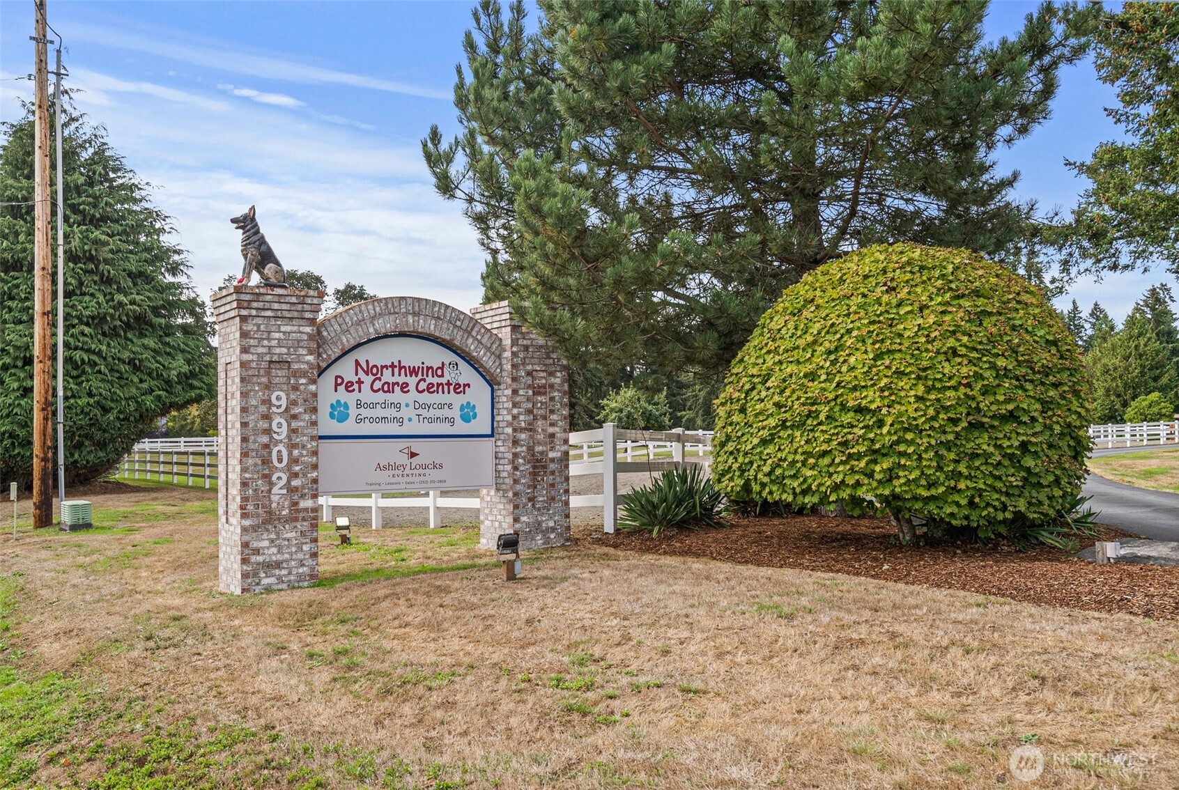 Northwind Pet Center has been an exceptional pet and equine care for over 30 years. Renowned for its dedication to the highest standards of care, Northwind offers a full range of services, including pet and equine boarding. With decades of experience, this well-established business has earned a reputation for reliability, professionalism, and a true passion for the animals in its care.