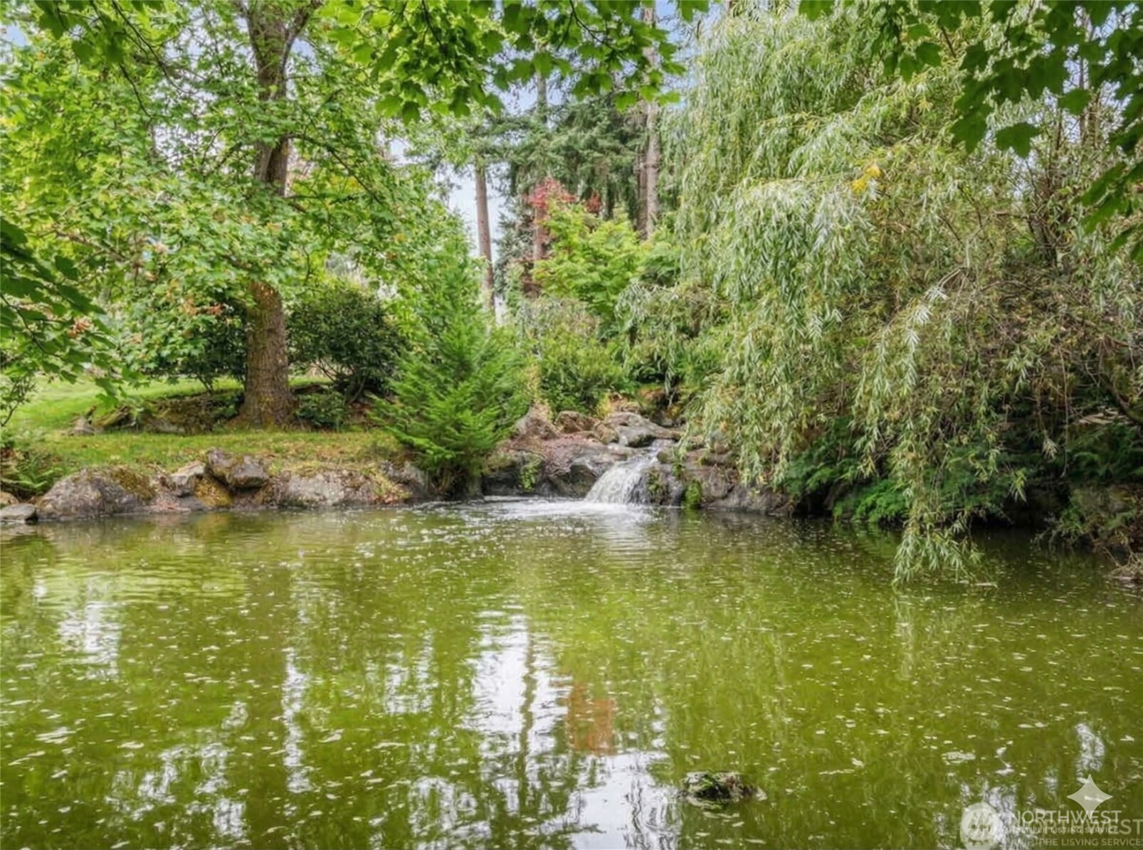 private pond and waterfall right off the back deck