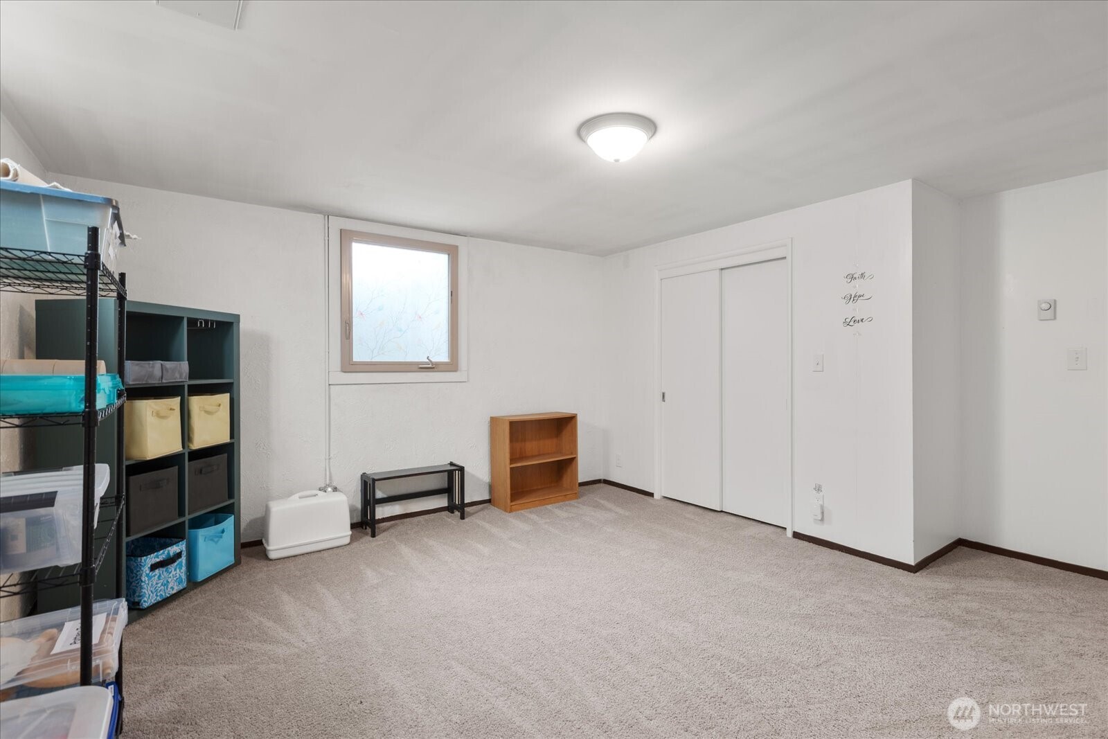 Spacious lower-level room featuring closet storage and plenty of usable floor space.