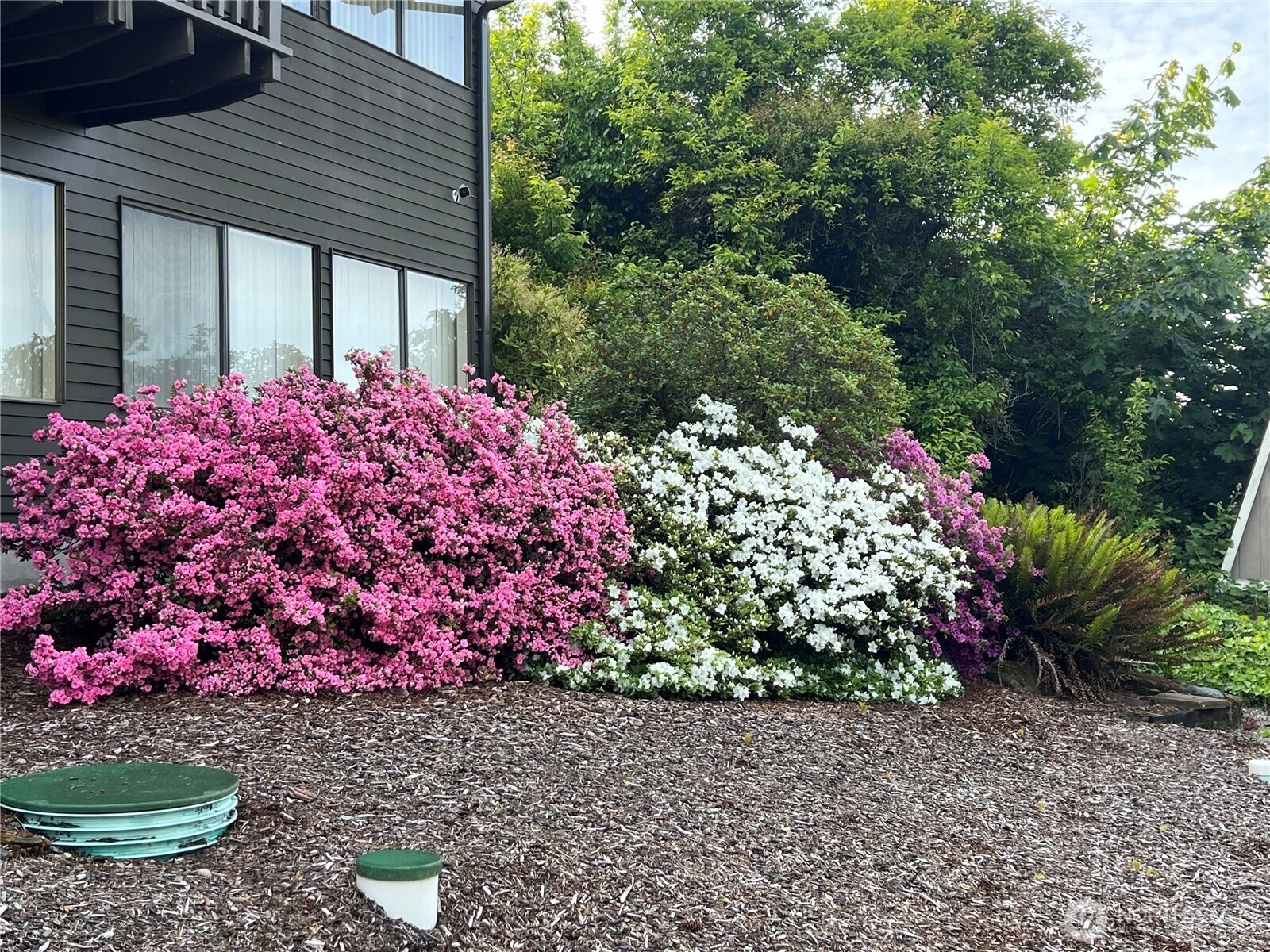 Lower left corner is where the garden area is located