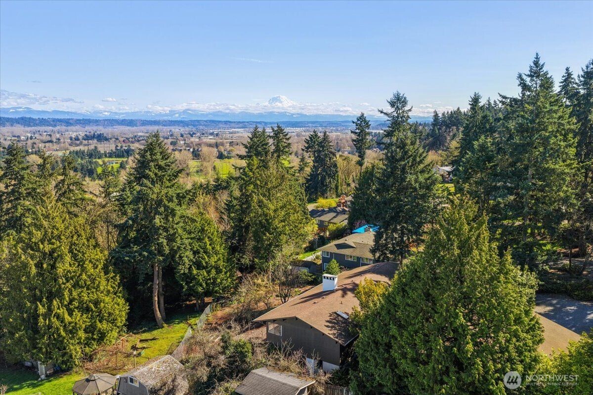 View from the back deck