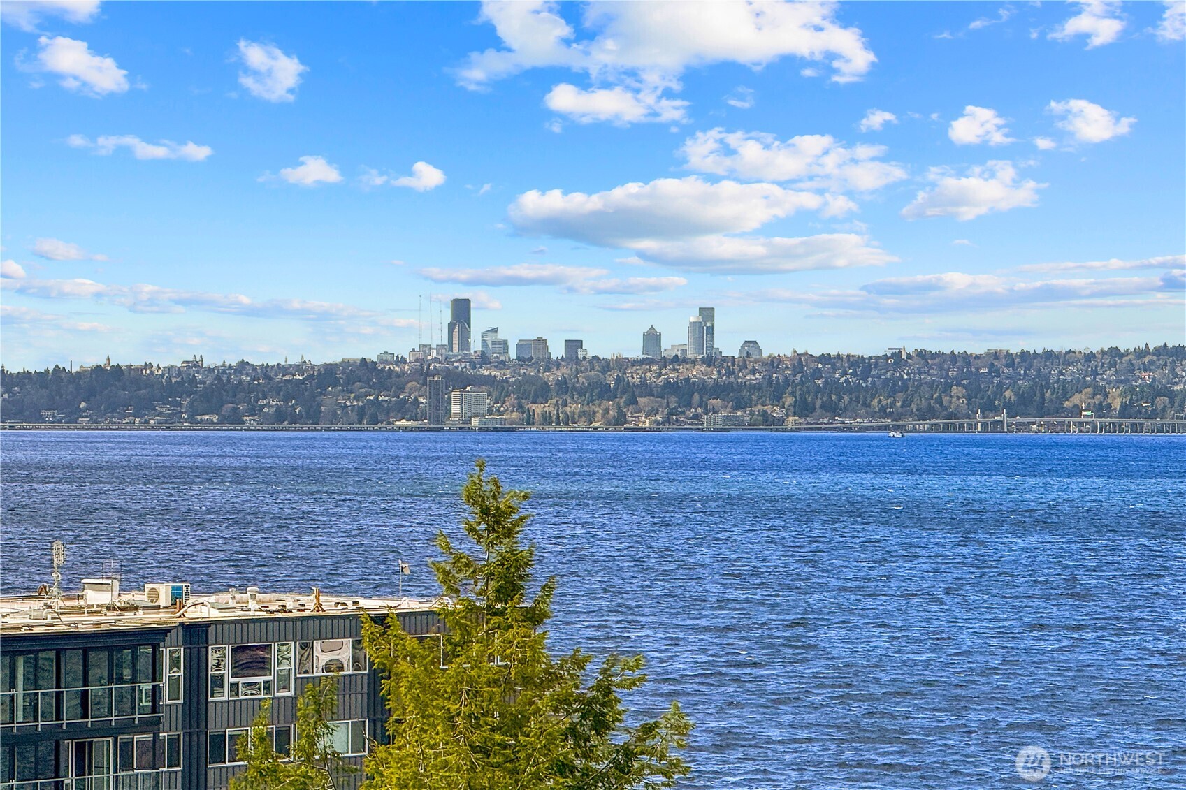 Side yard with garden.