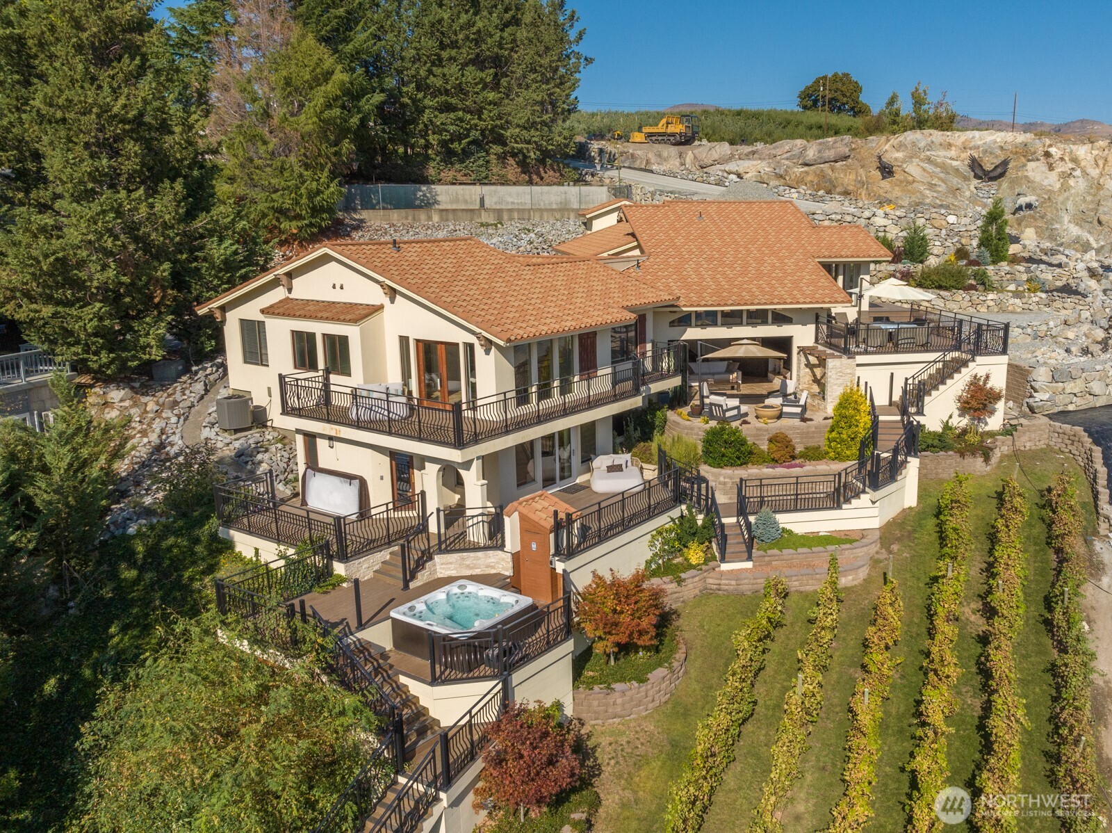 Estate vineyard planted with Chardonnay and Cabernet vines.