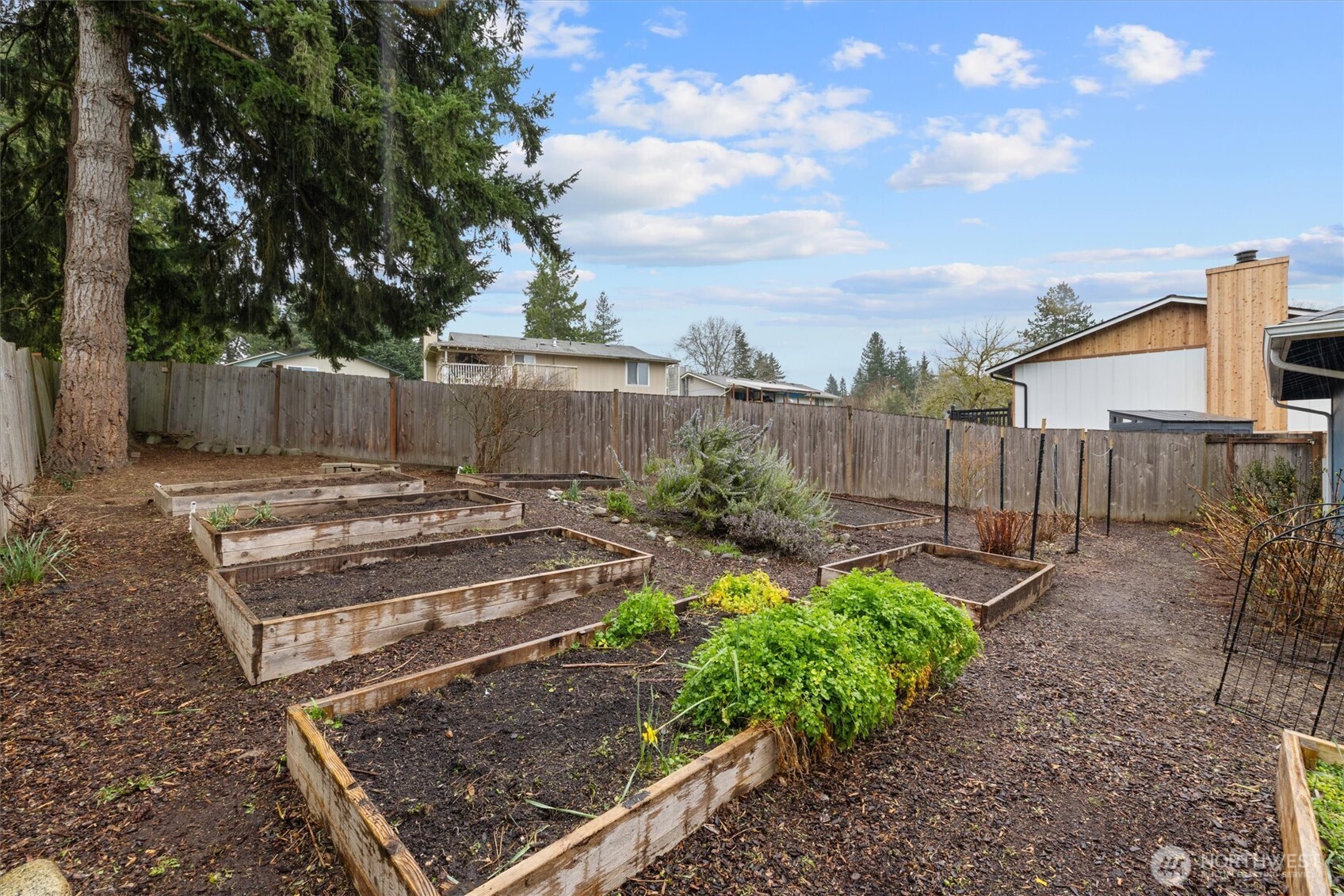 Raised beds for gardening.