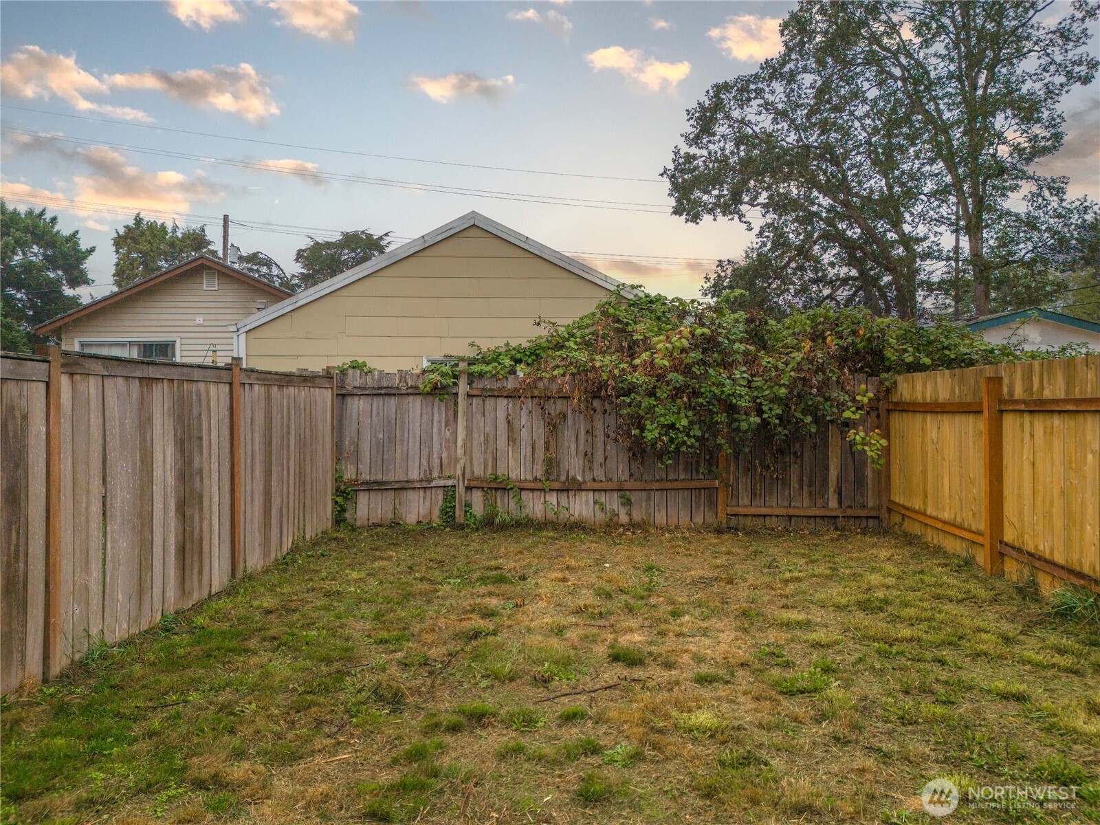 Fenced Back yard