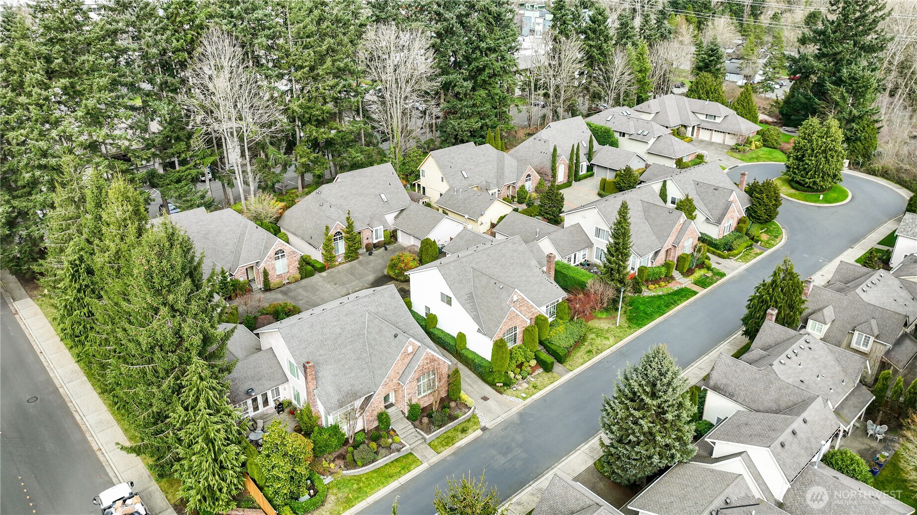 Privet Community Park is at the end of the street