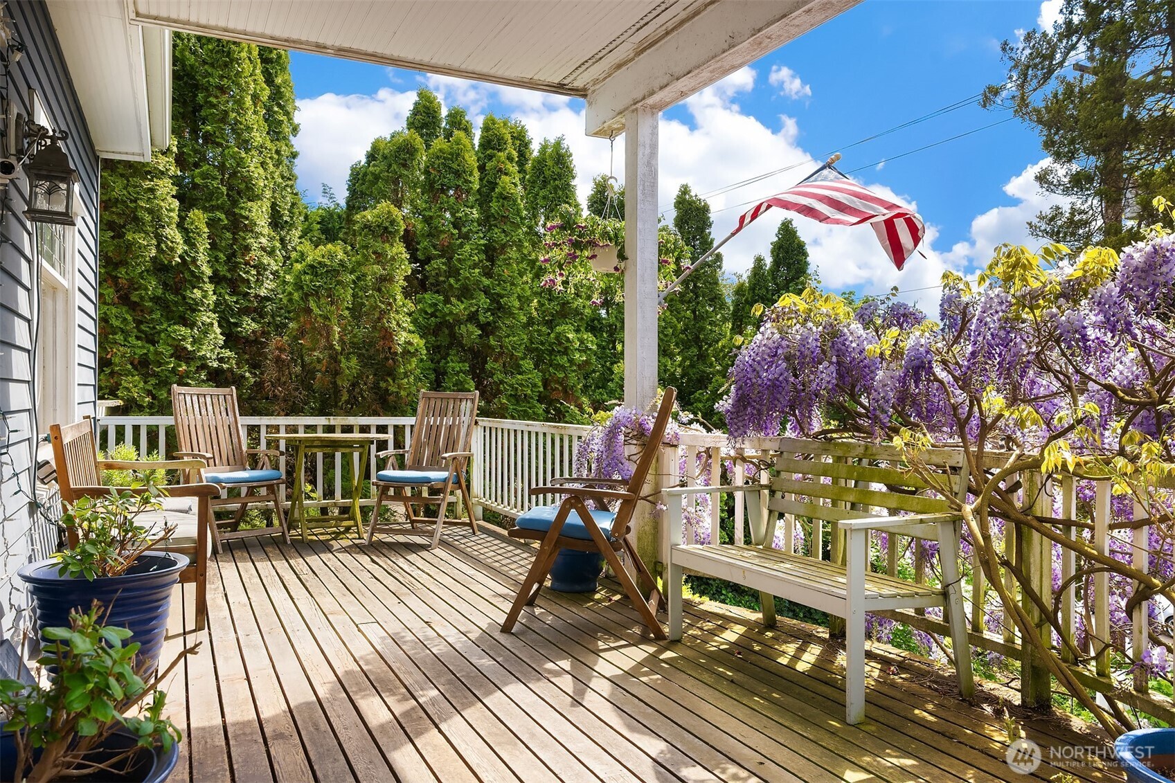Springtime Wisteria...