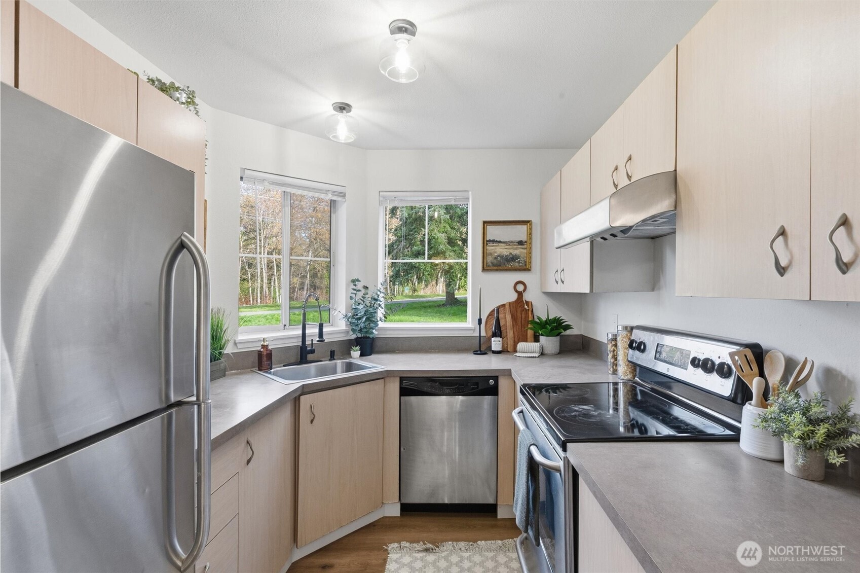 Stainless steel appliances