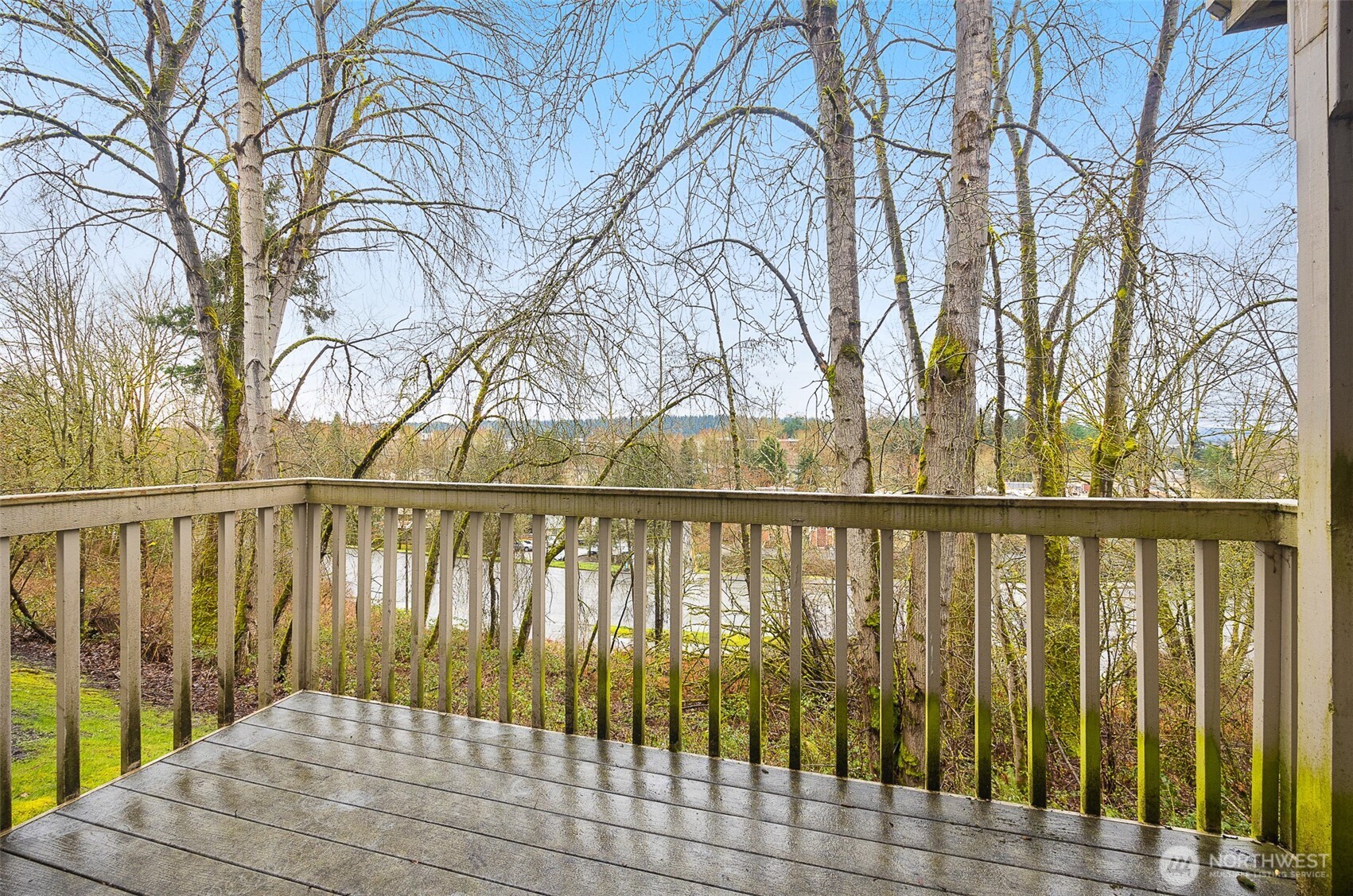 Expansive daylight basement rec/family room