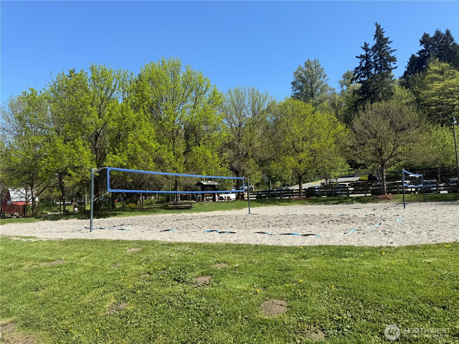 Volleyball