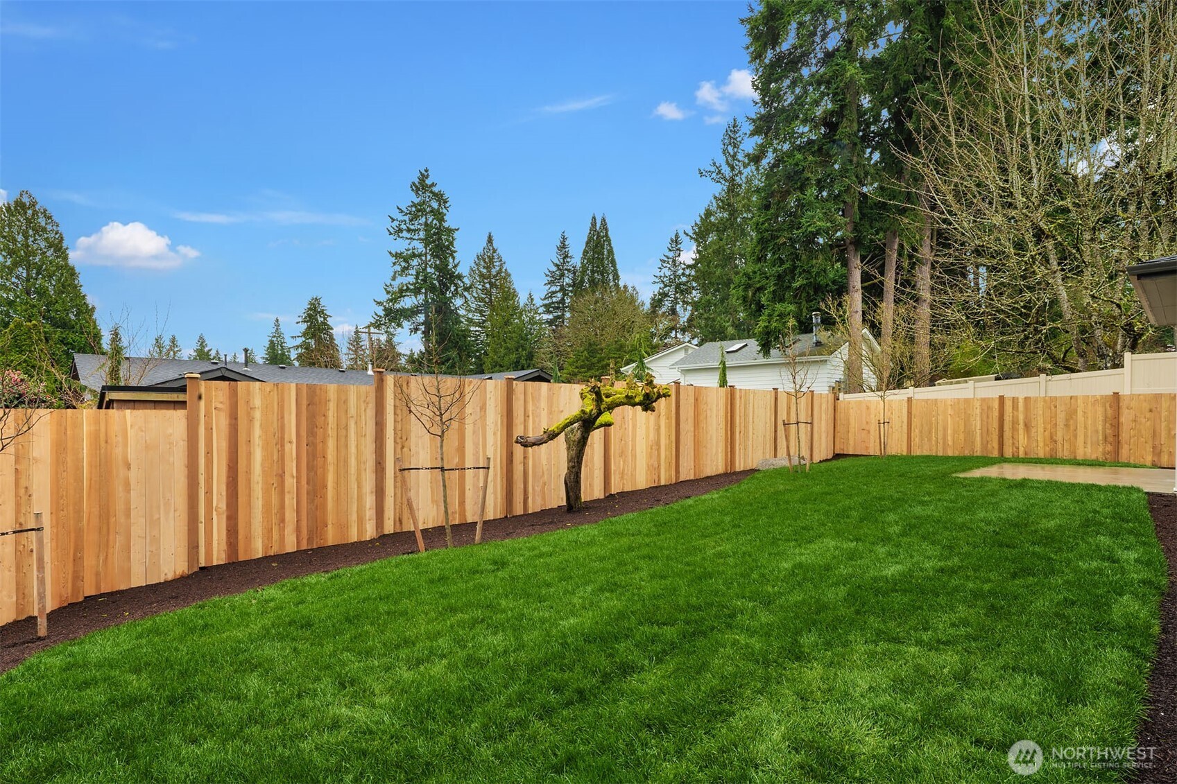 South facing backyard