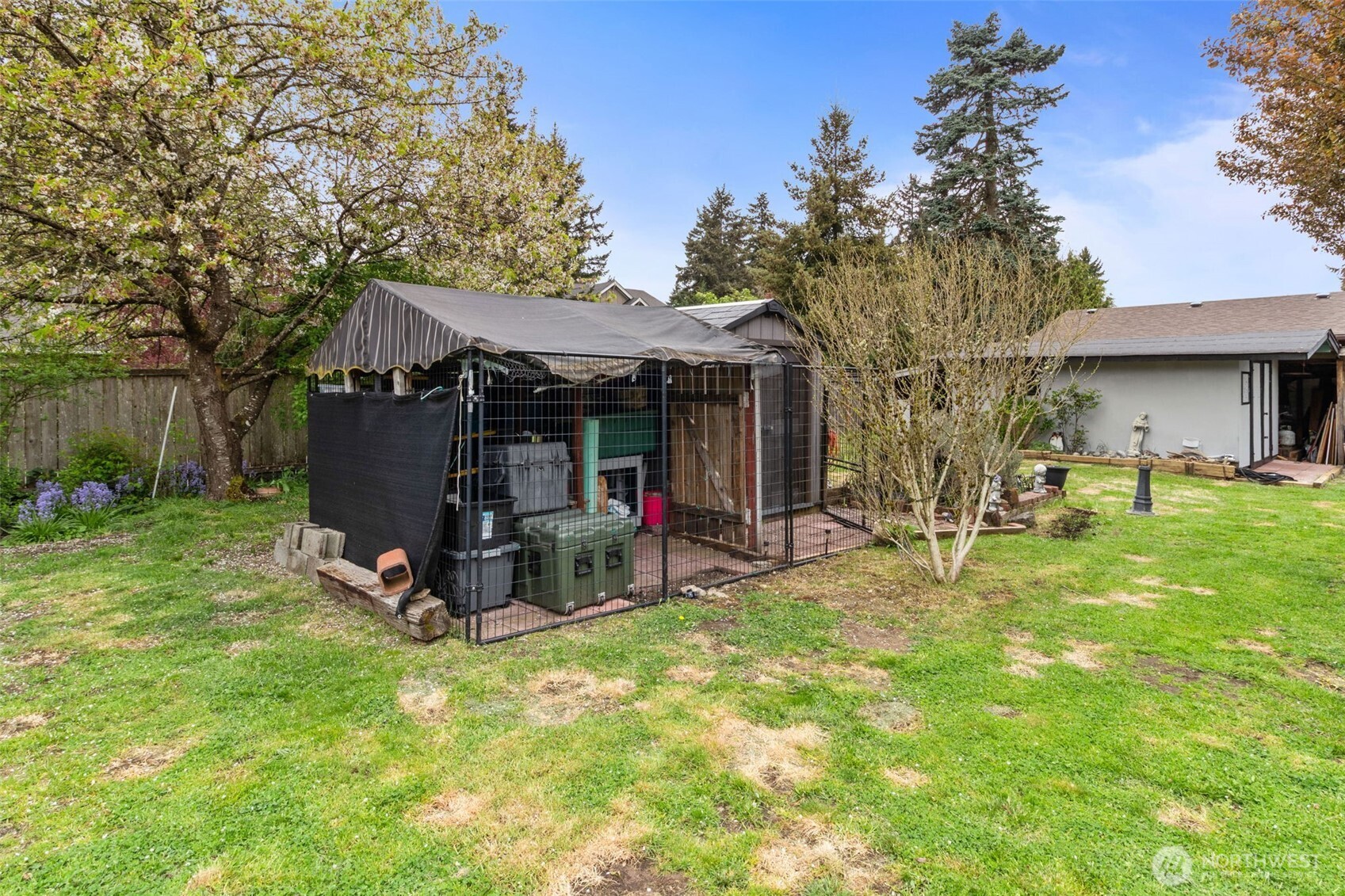 Shed could be converted into a Chicken coop