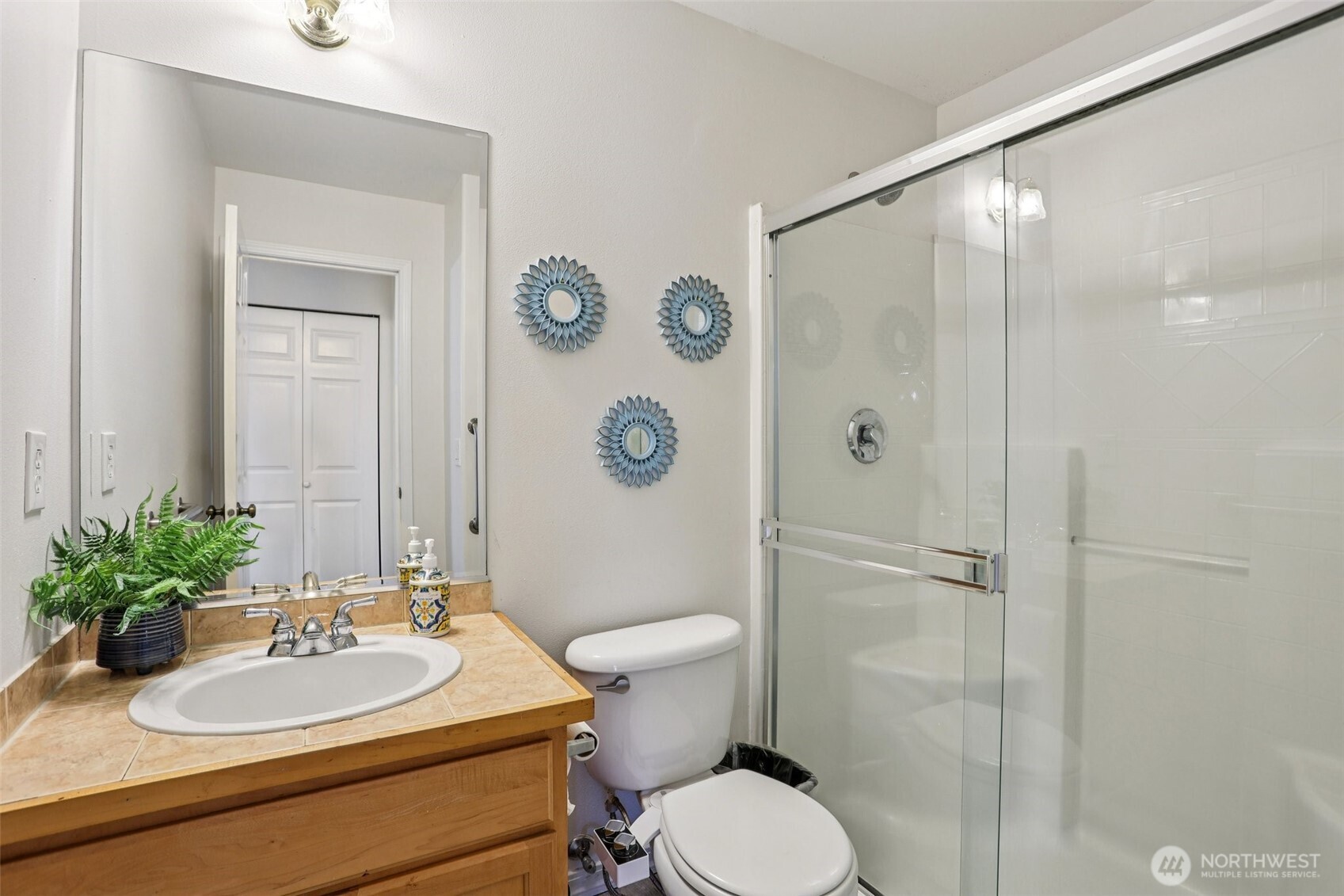 Lower level Primary closet