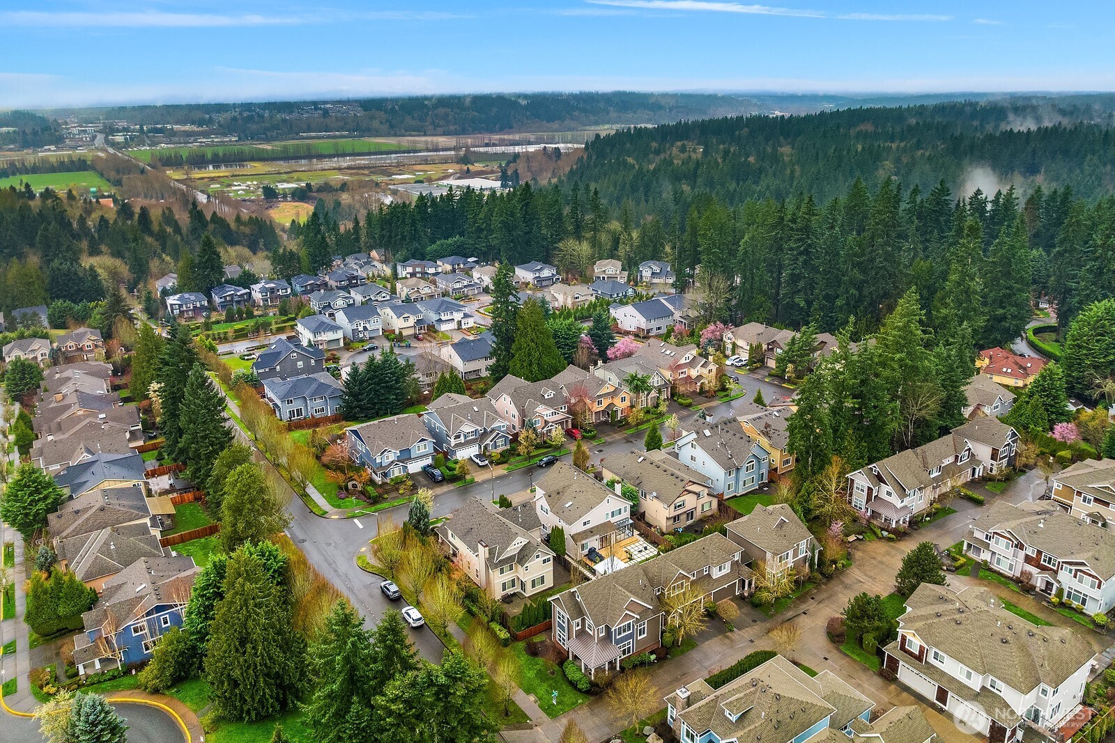 This broader aerial view places the home within the beautifully maintained Sycamore Park neighborhood, surrounded by lush tree canopy and conveniently close to top-rated schools, parks, shopping, and easy access to I-405.
