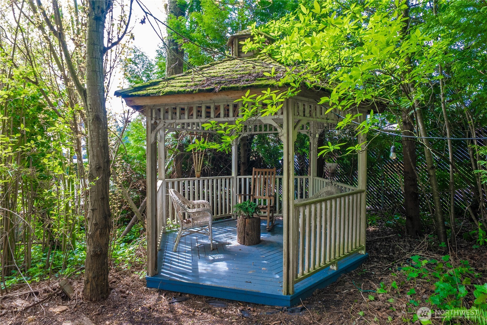 Backyard gazebo