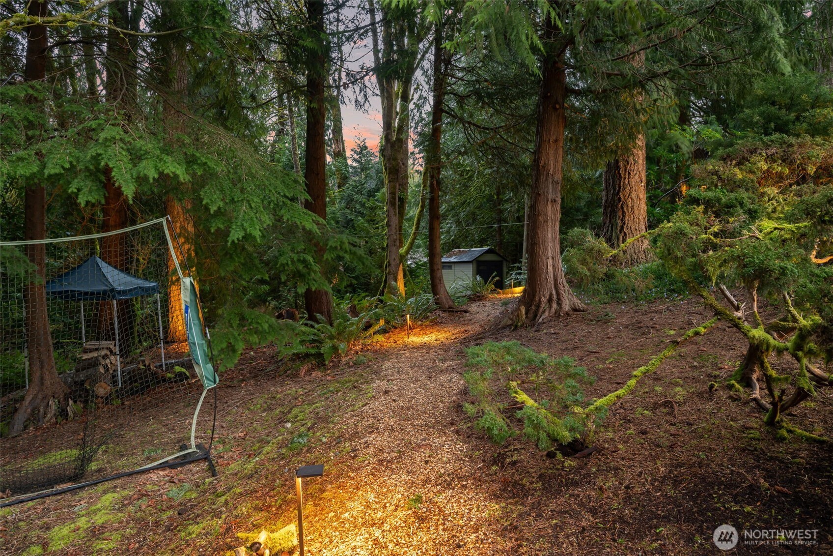 Several trails lead through the tree-lined forest.