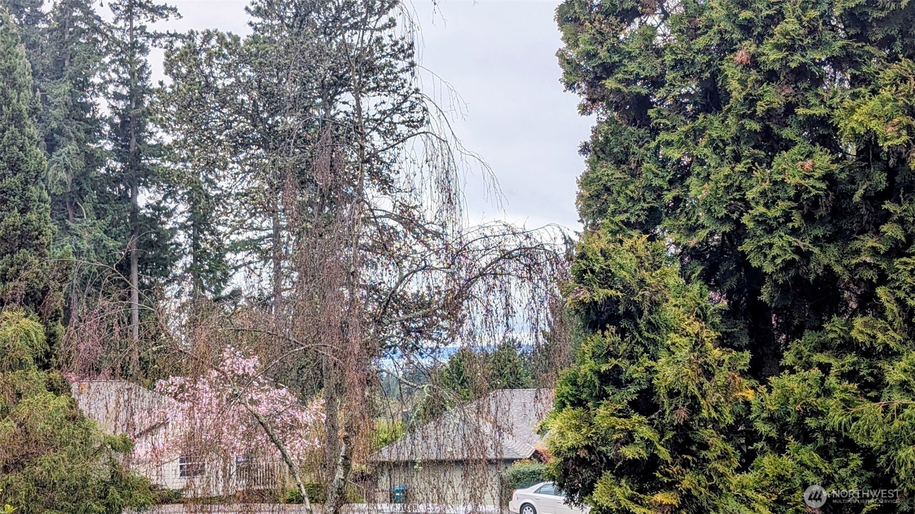 View off the front deck