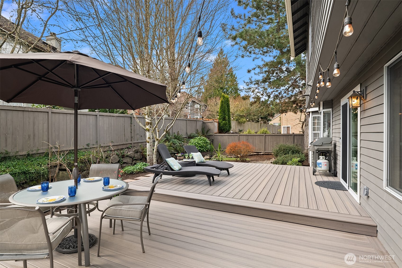 This is a picture of the backyard during the summer