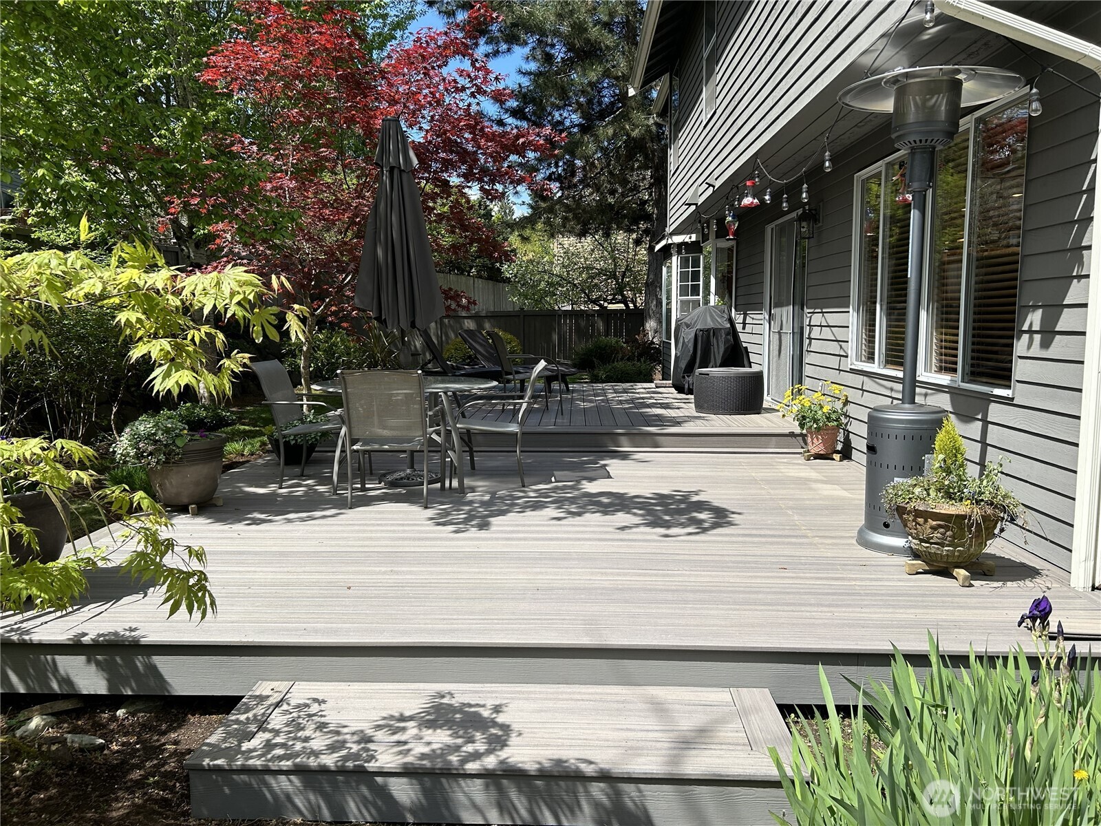 Another summer garden picture