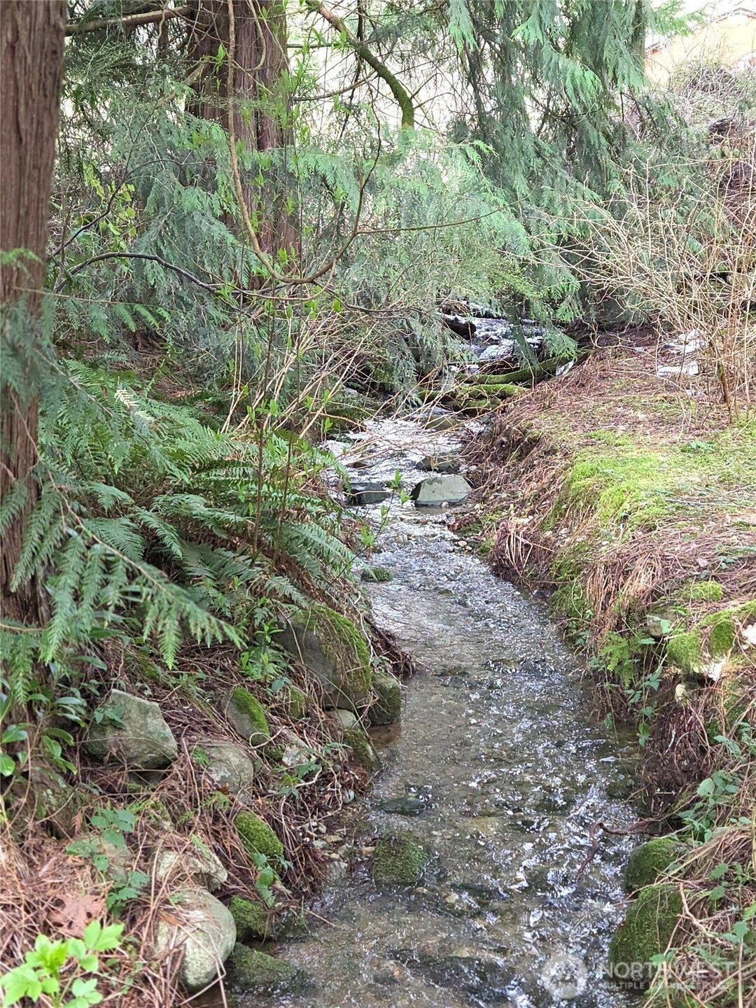 Seasonal Creek right behind the house