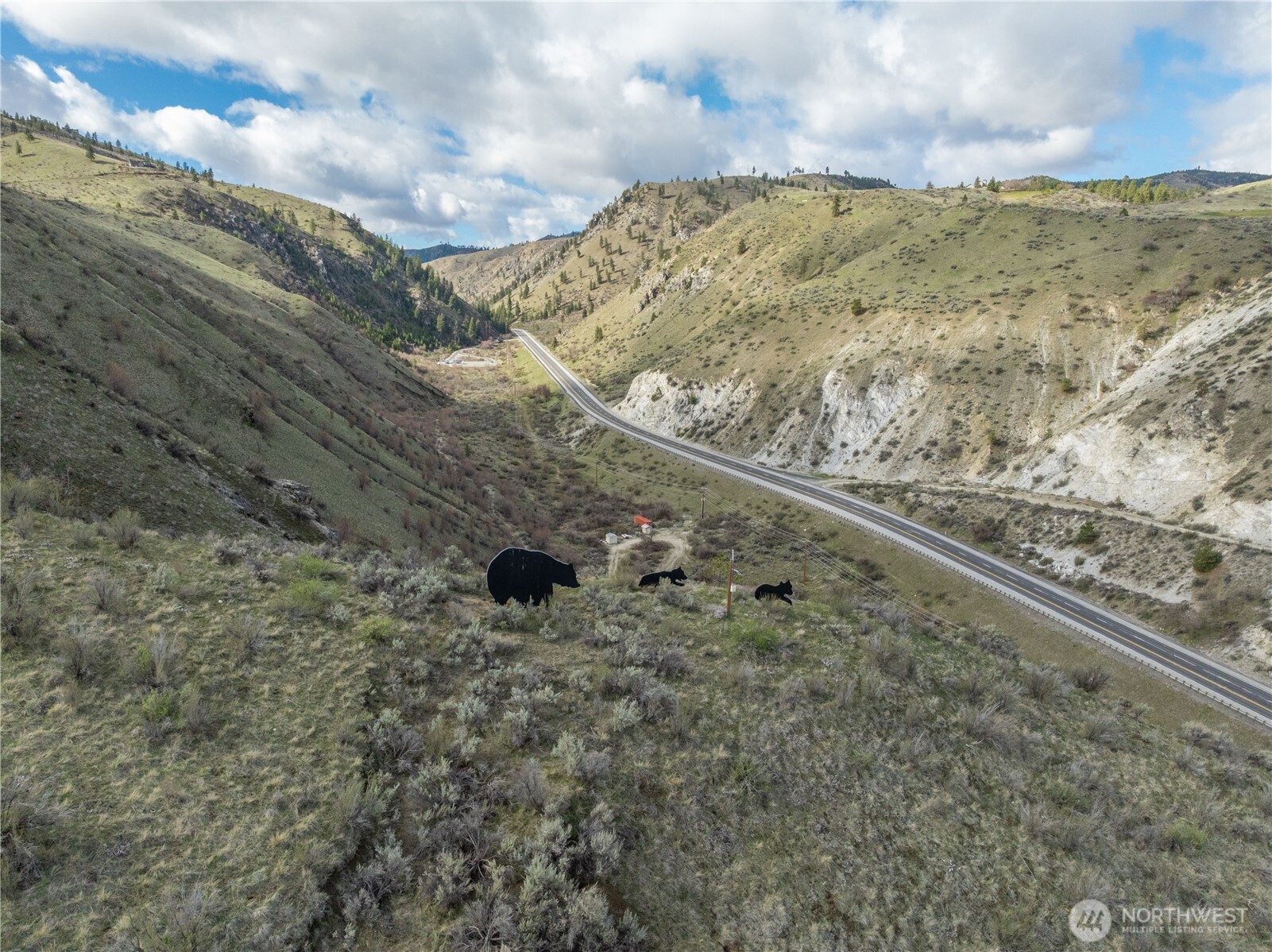 Bears within property lines (can be seen from 97-A as you come into Chelan)