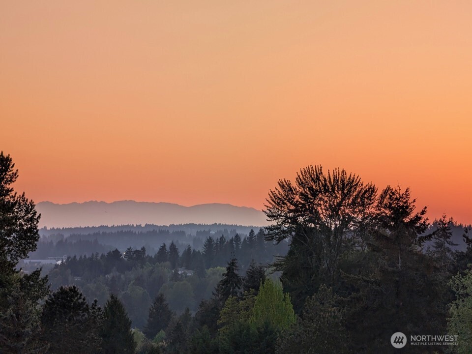Photo of the view taken by the seller.