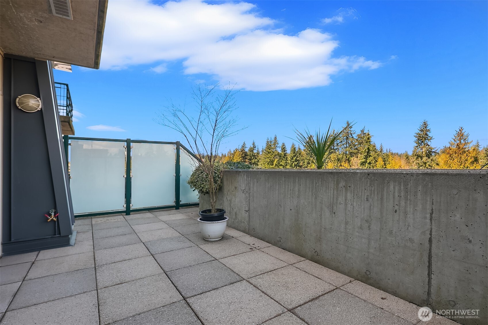 Lower Level Patio with Concrete Built-in Planters and Privacy Glass