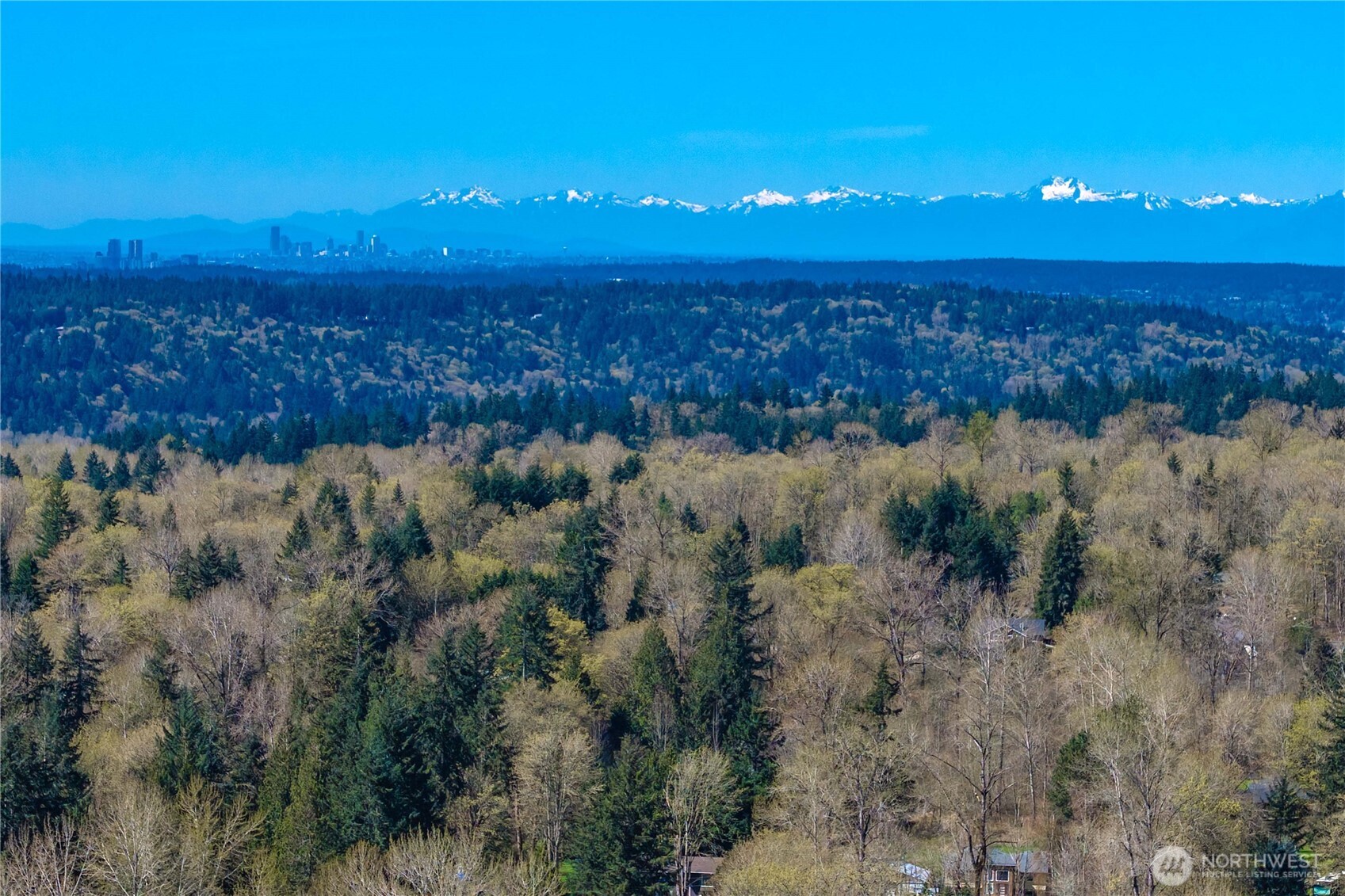 Tucked back on over an acre of lush evergreens.