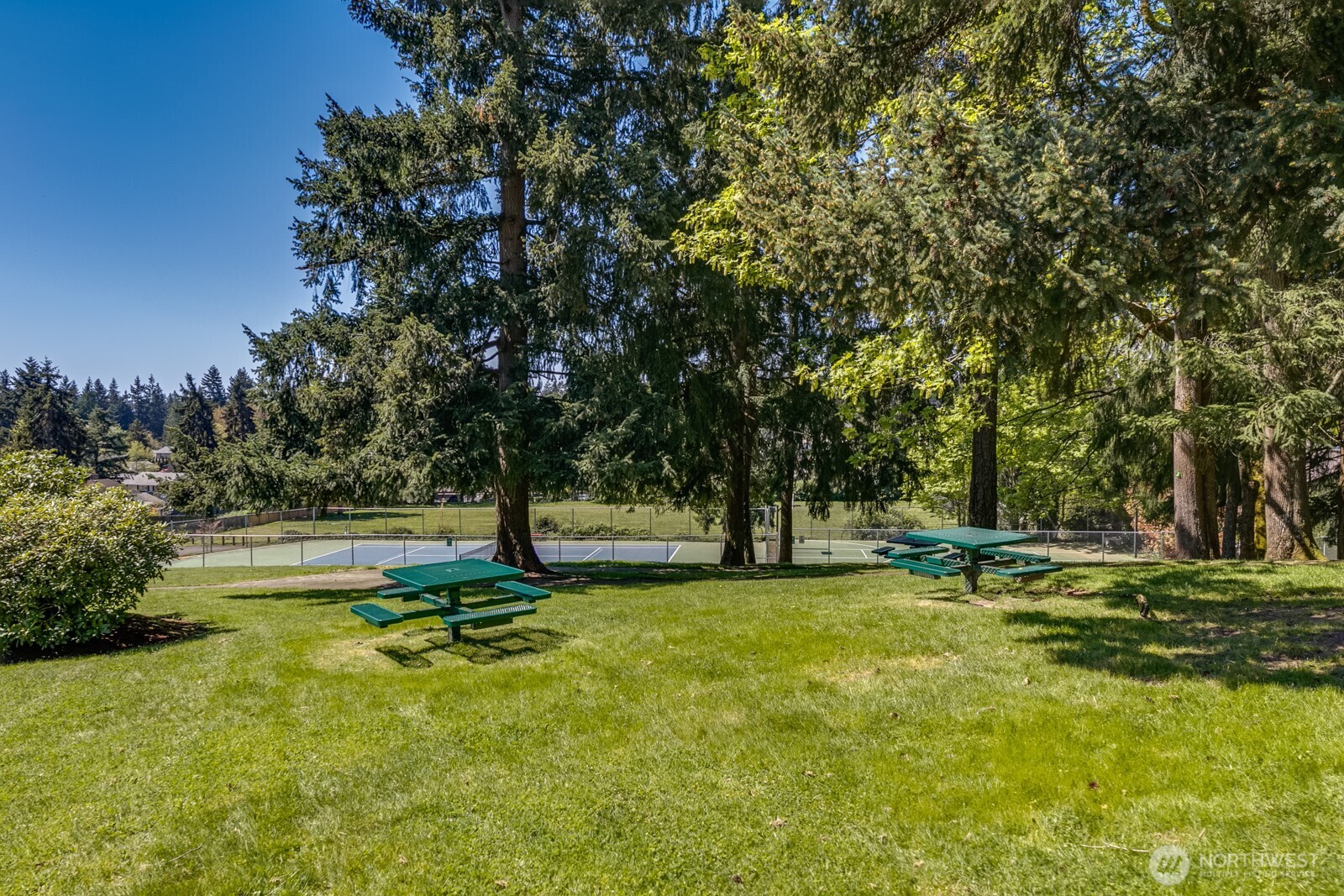 Picnic area.
