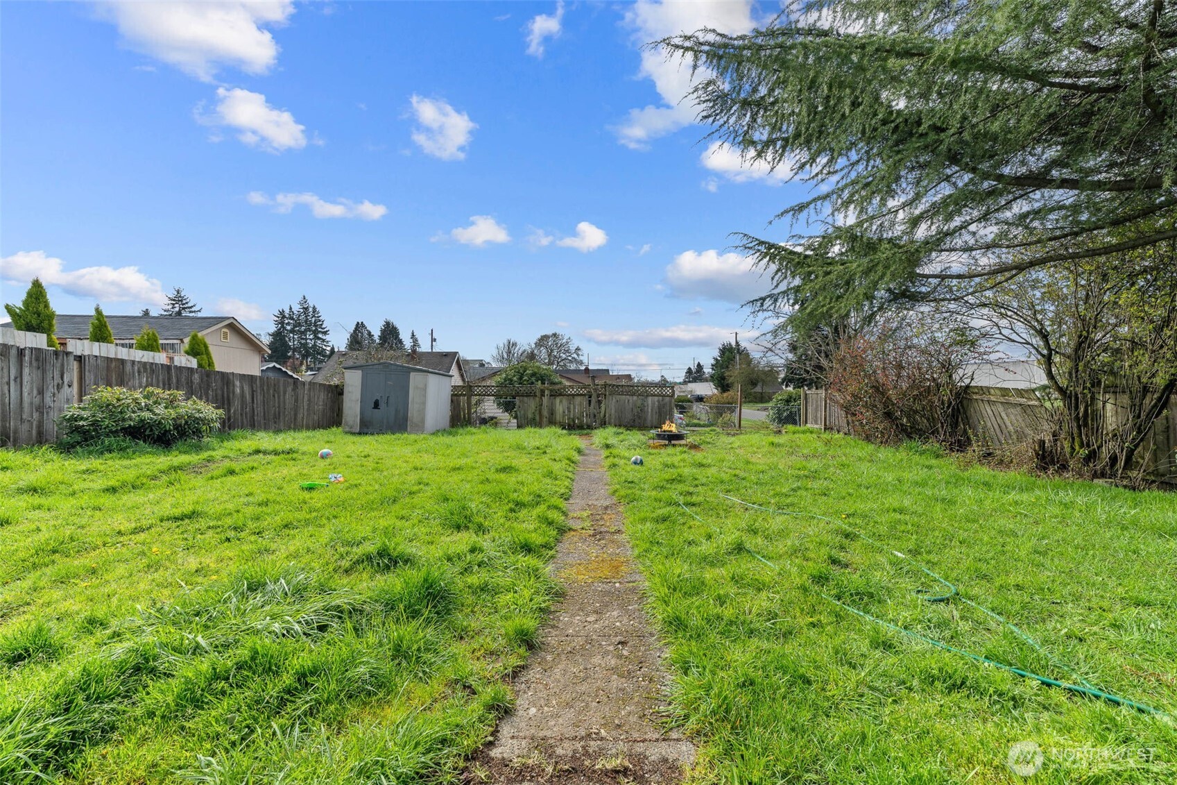 Backyard