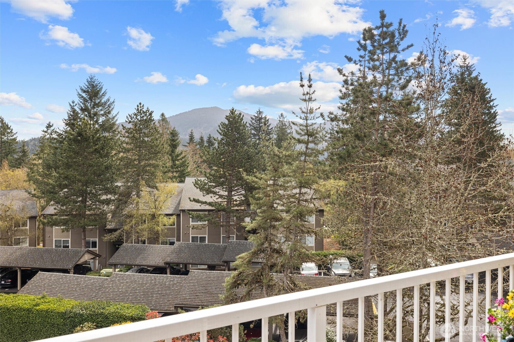 Views of Tiger Mountain from deck