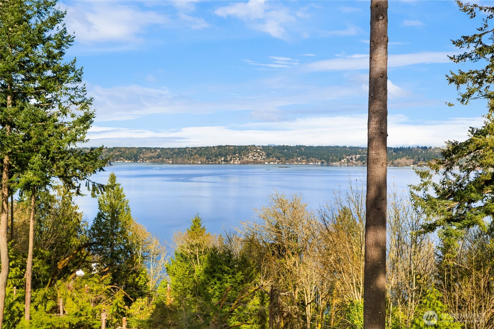 Fantastic spot for bird watching!