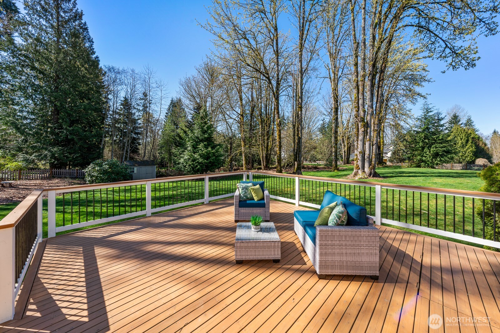 View of back yard