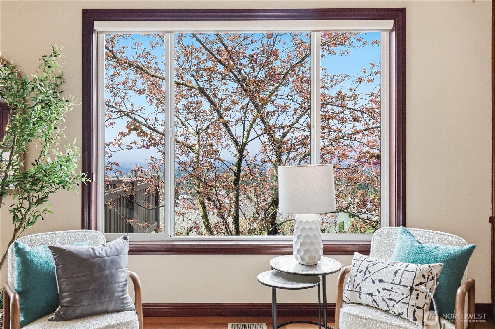 Cherry blossom Tree