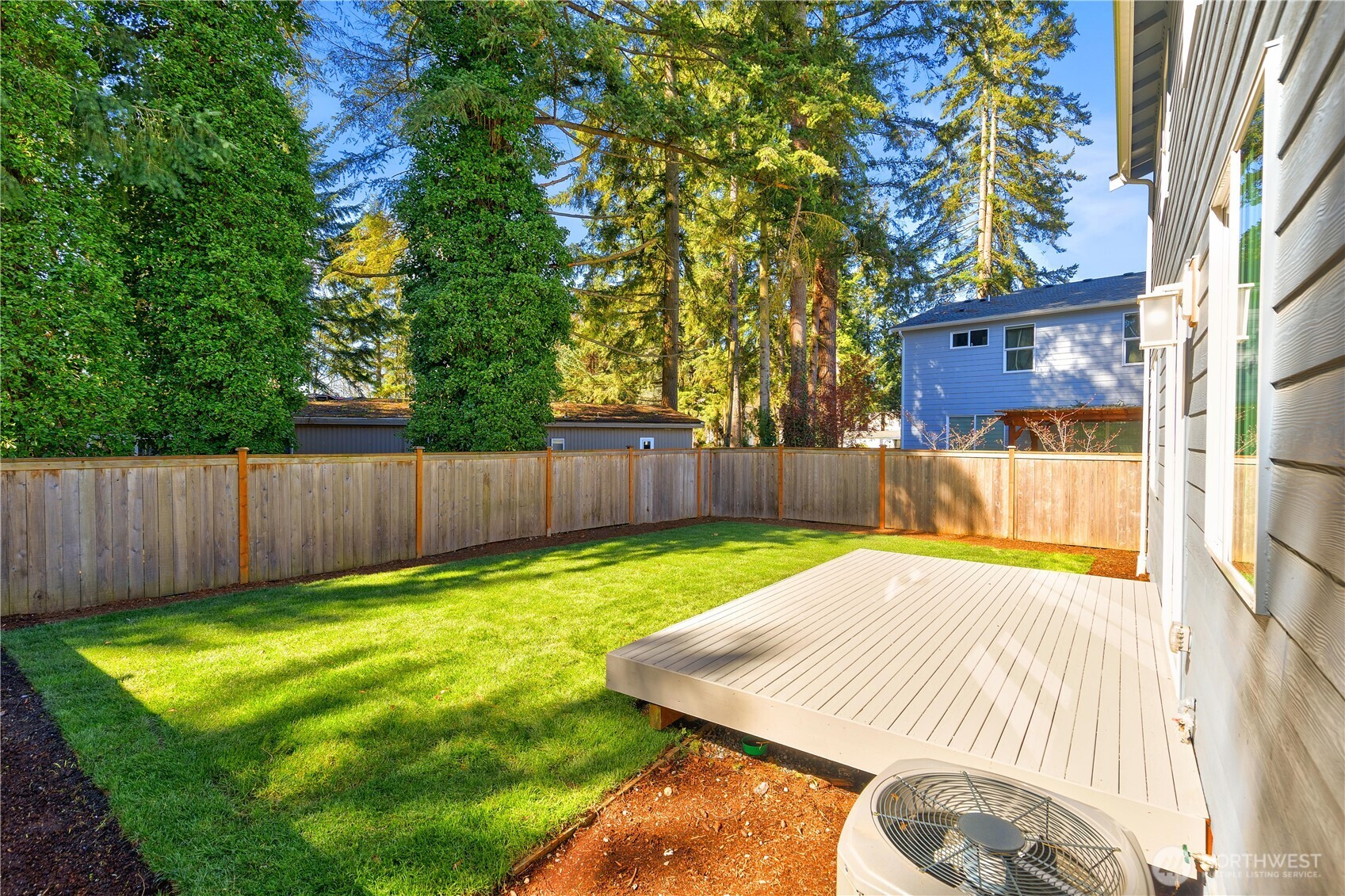 Lush green grass and  fenced backyard