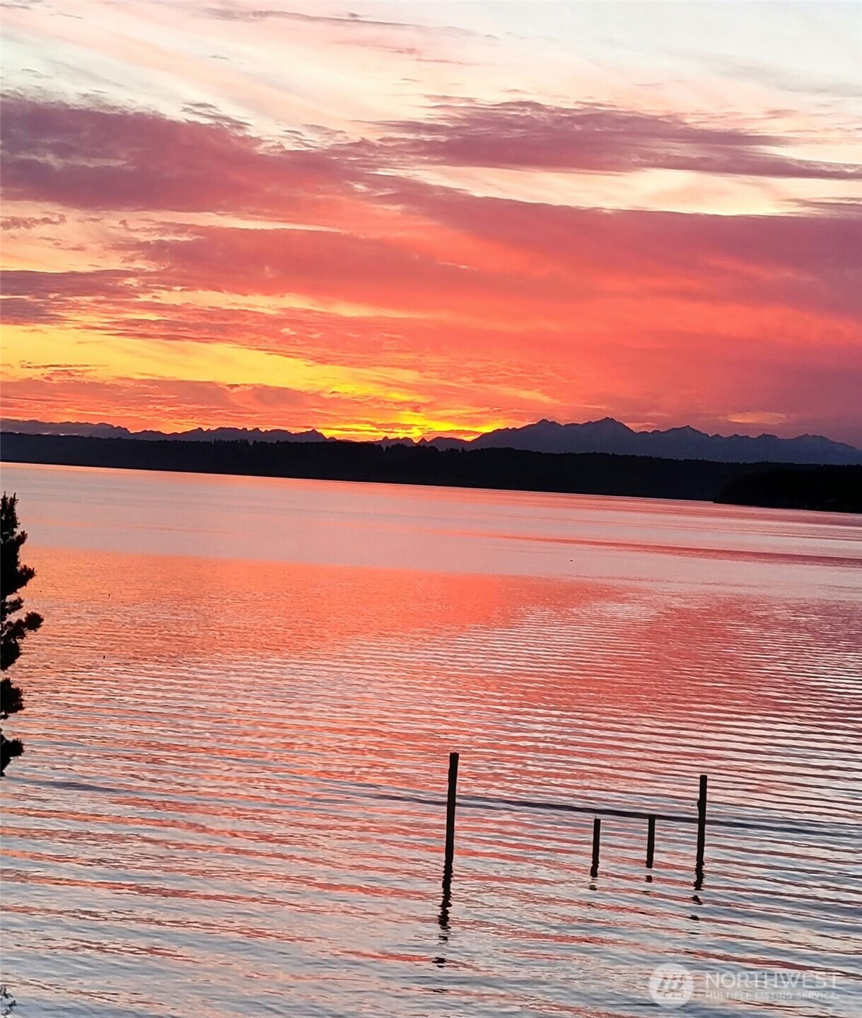 View of the sunset over the Olympics