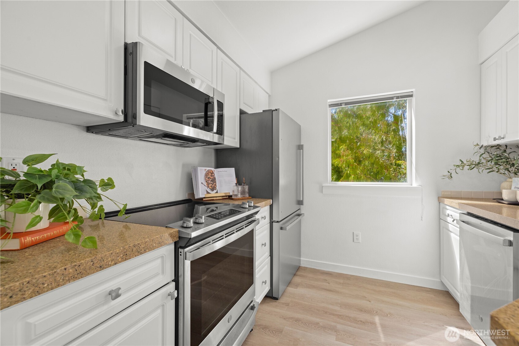 Stainless Steel appliances & private views