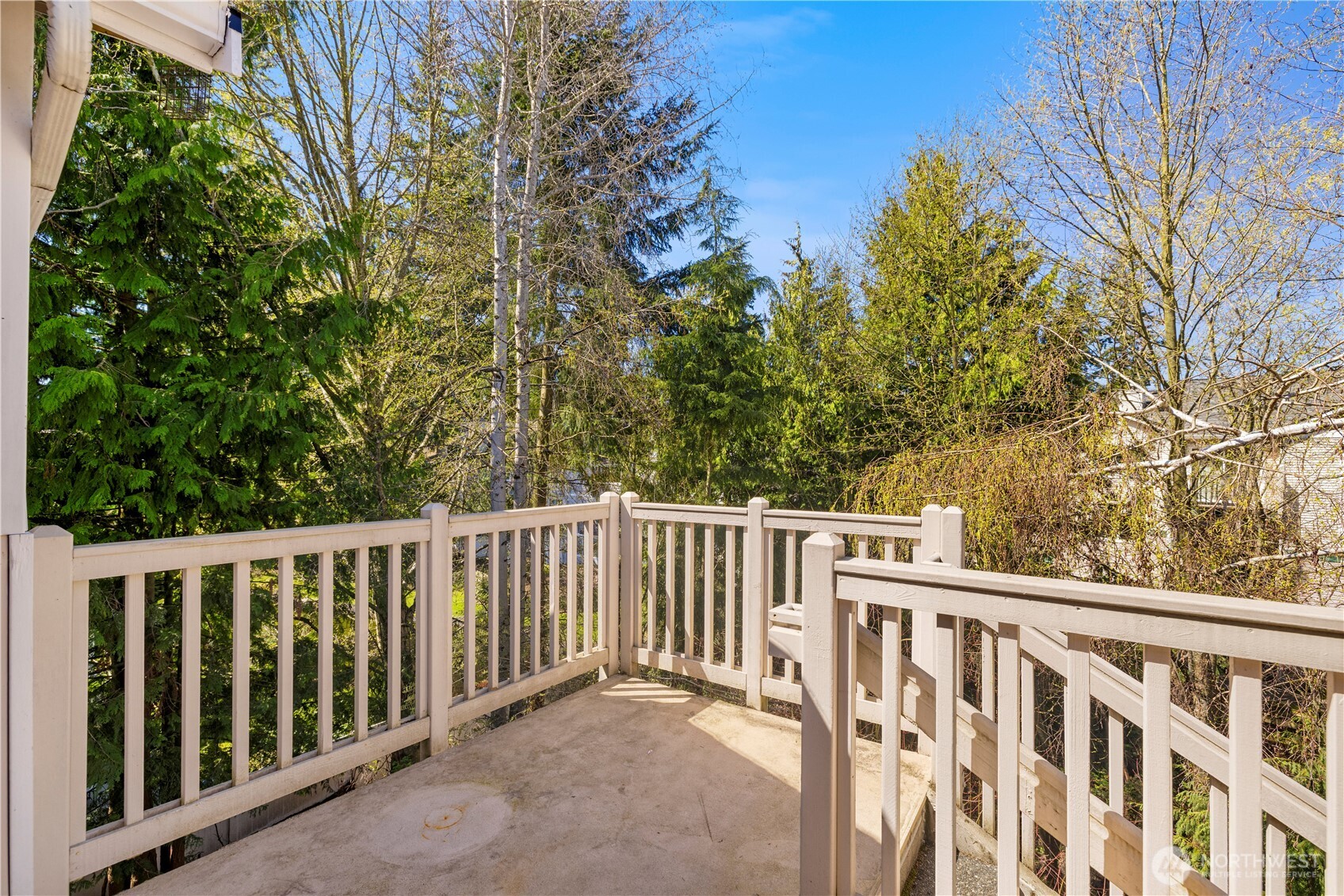 Soar with the treetops