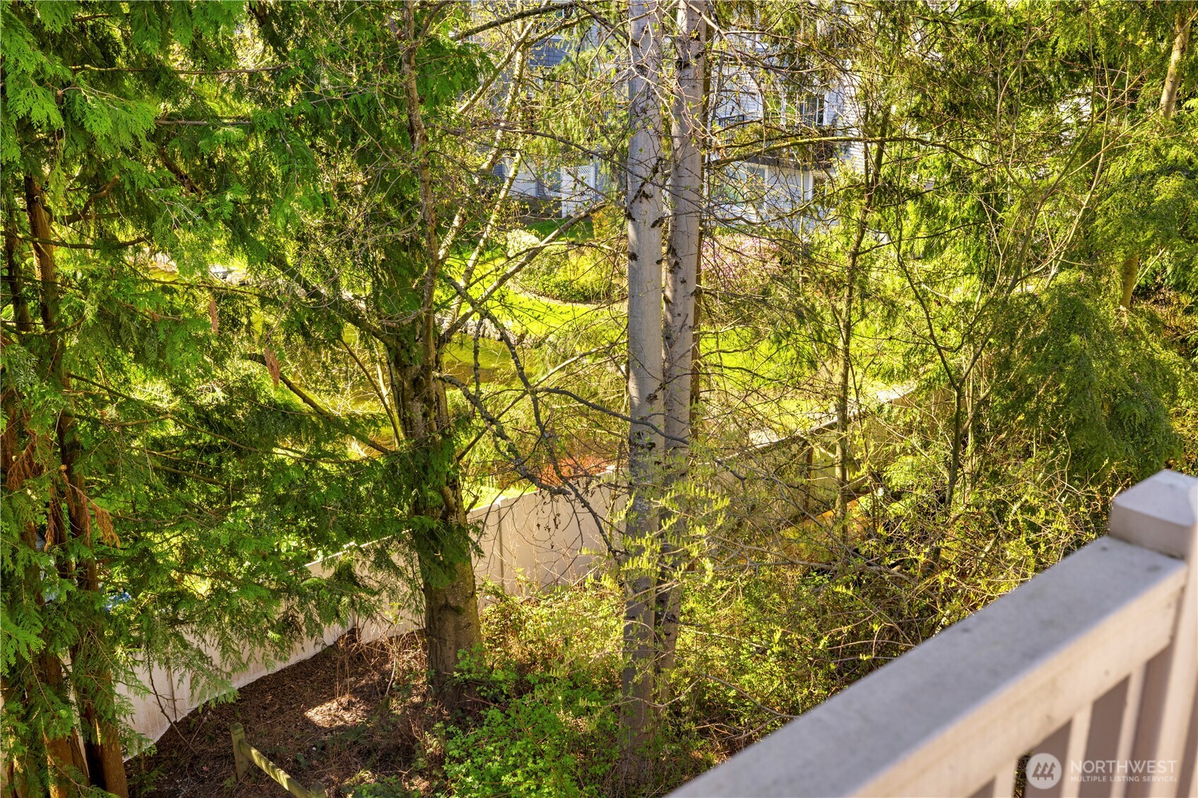 Surrounded by nature!