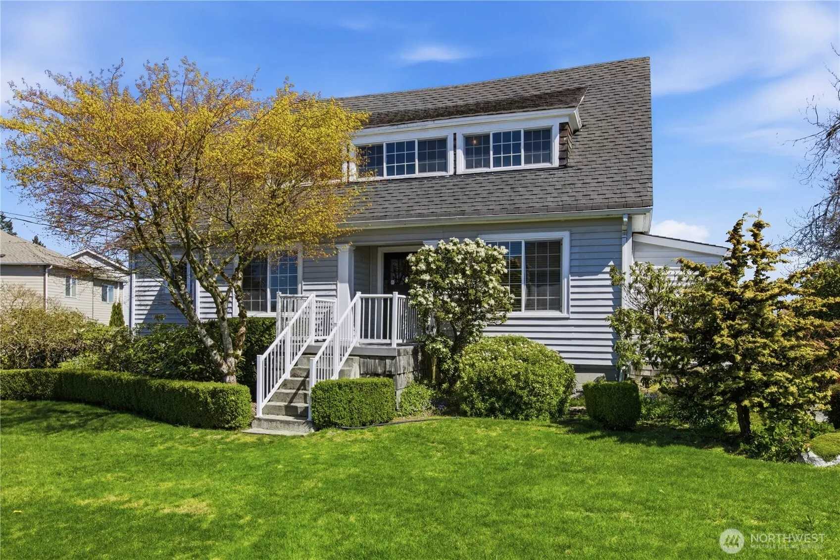 The Mountain is out!