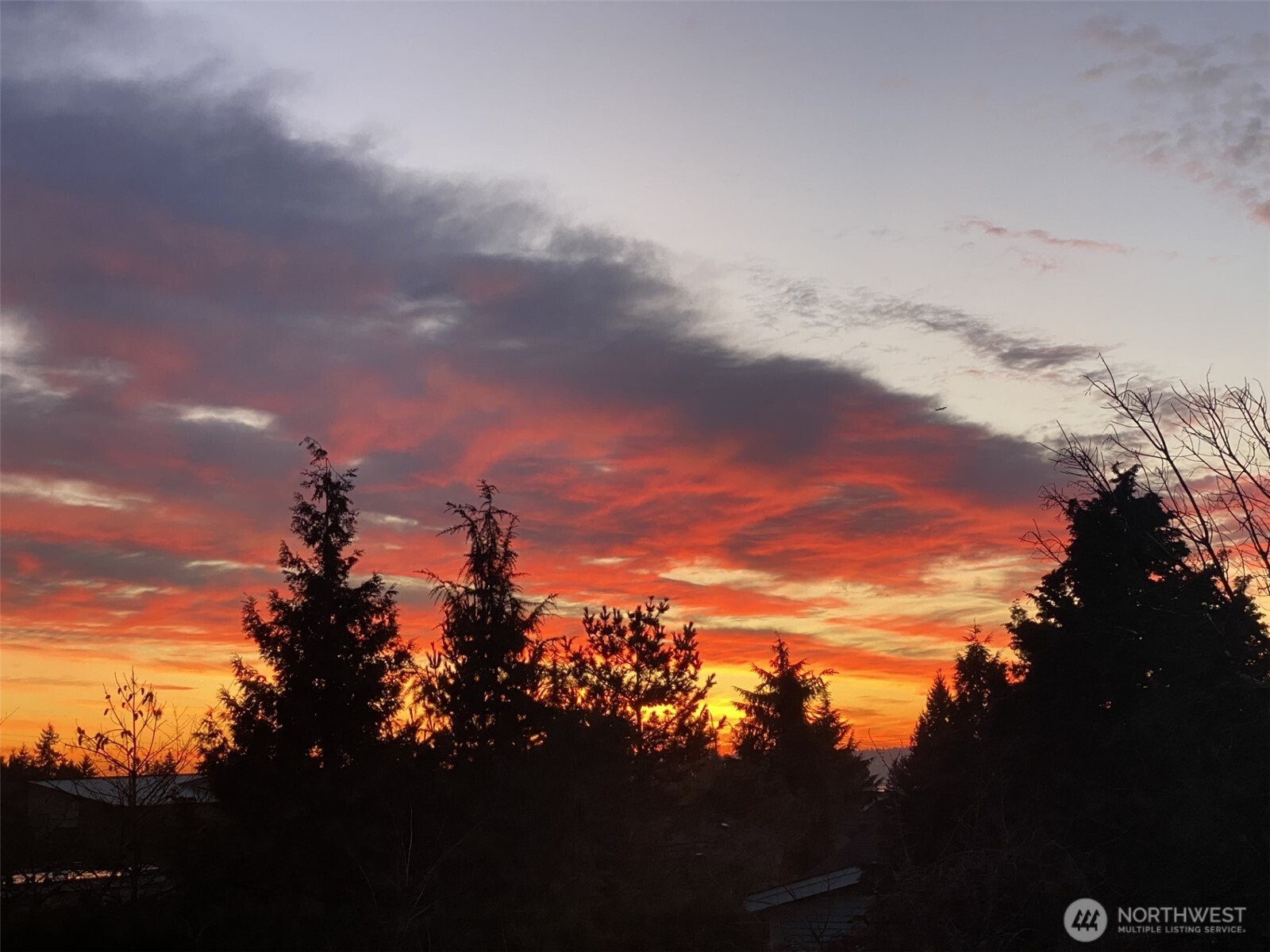 This is an untouched photo from the deck on a recent summer night.