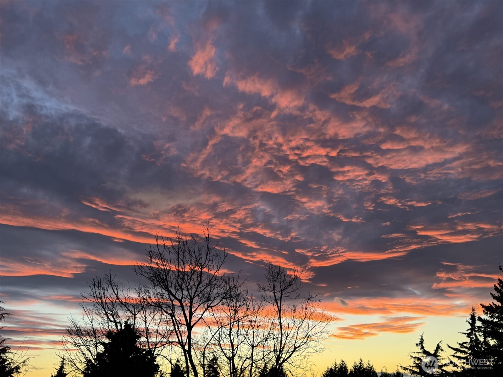 Another stunning view from the deck on a summer night.